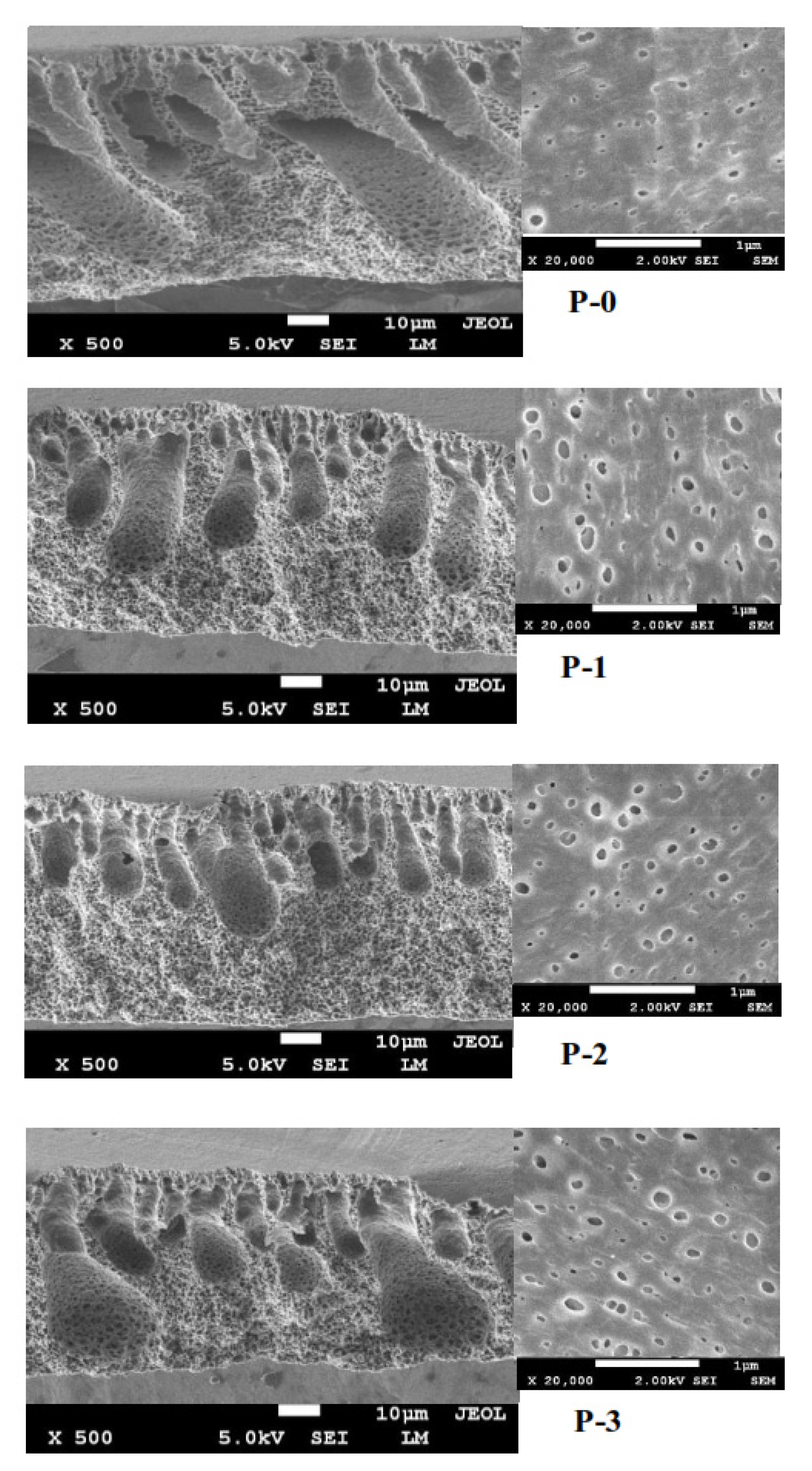 Polymers 12 02003 g003 Polymers 12 02003 g003