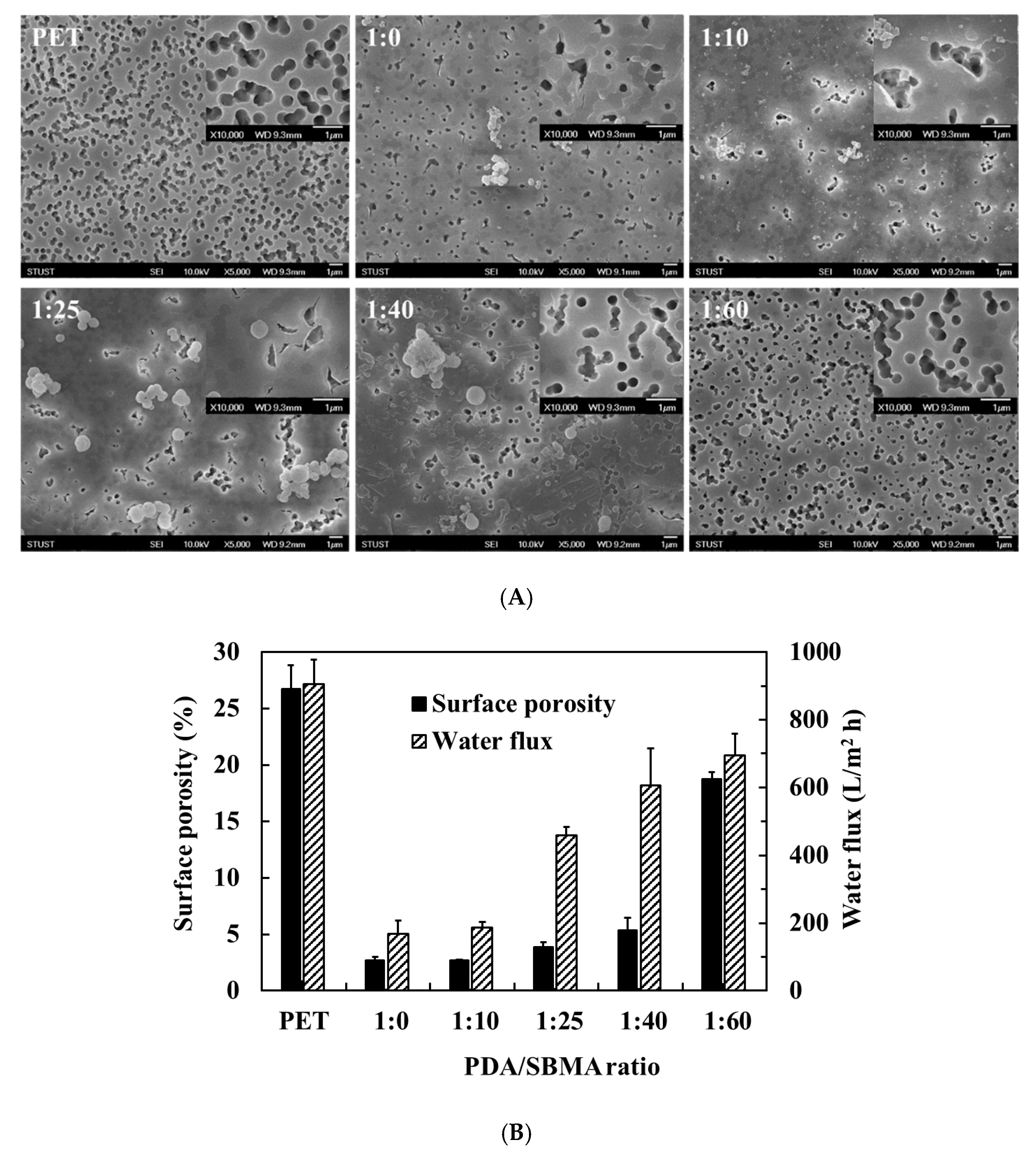 Polymers 12 02008 g007