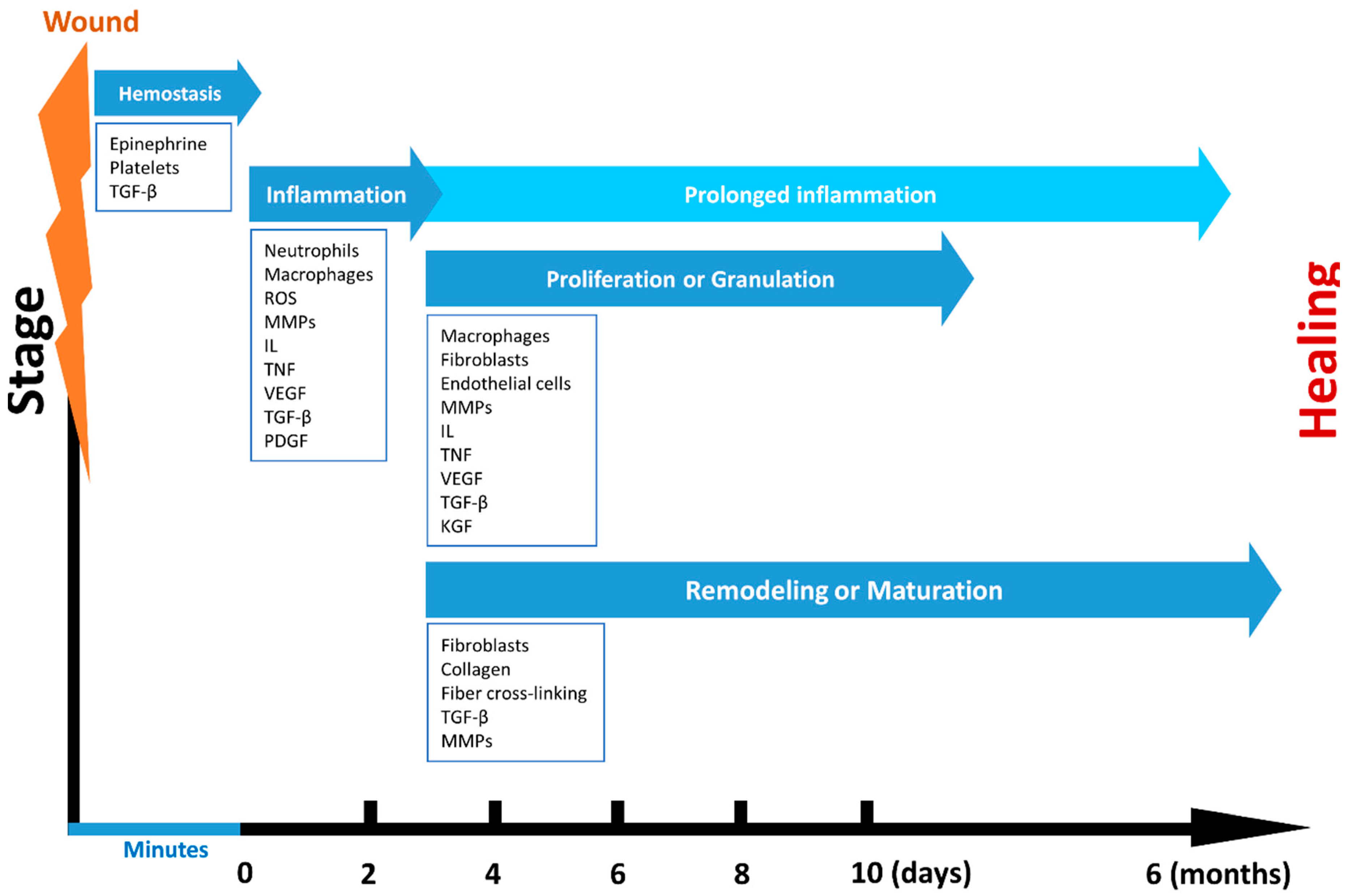 Polymers 12 02010 g002