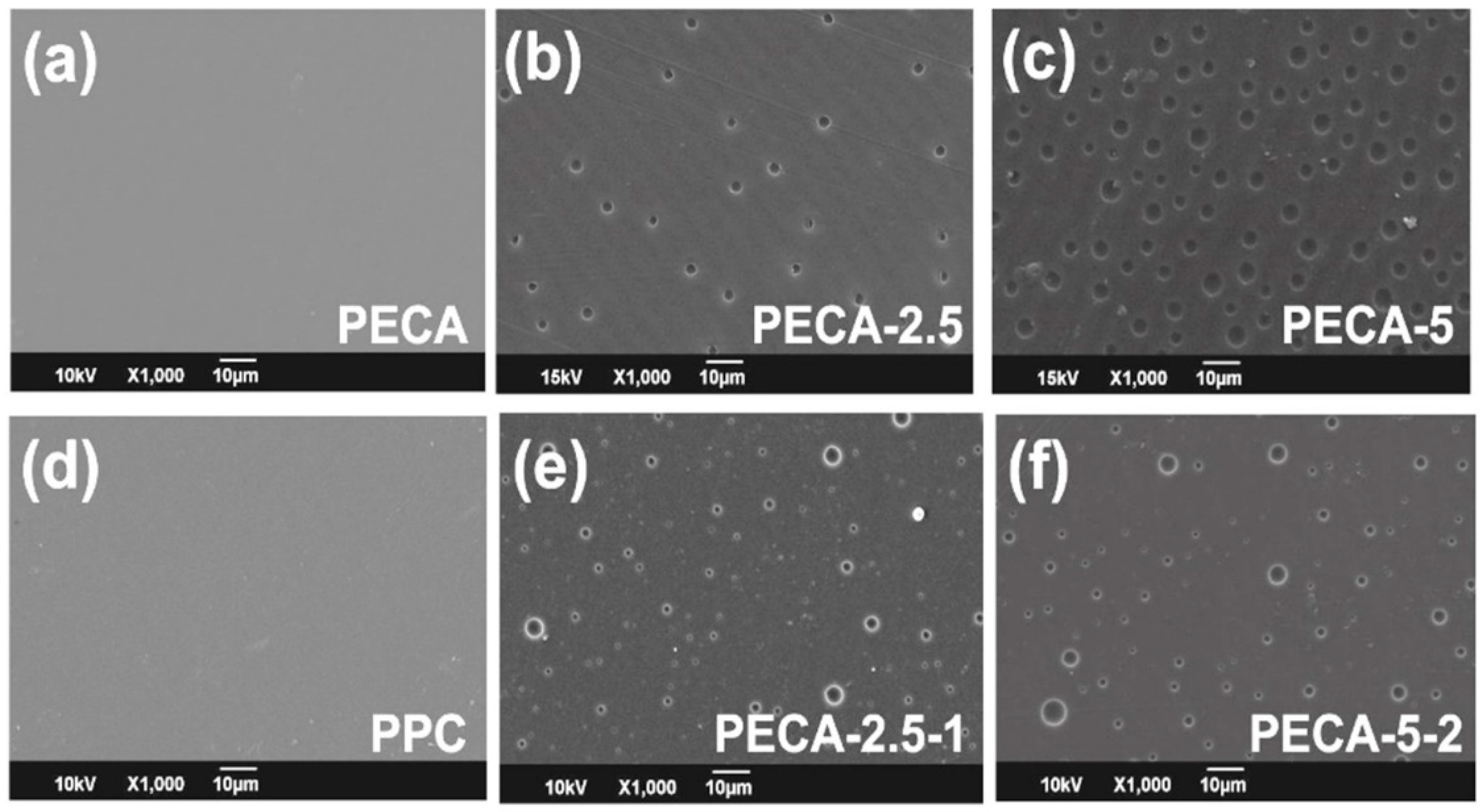Polymers 12 02011 g002
