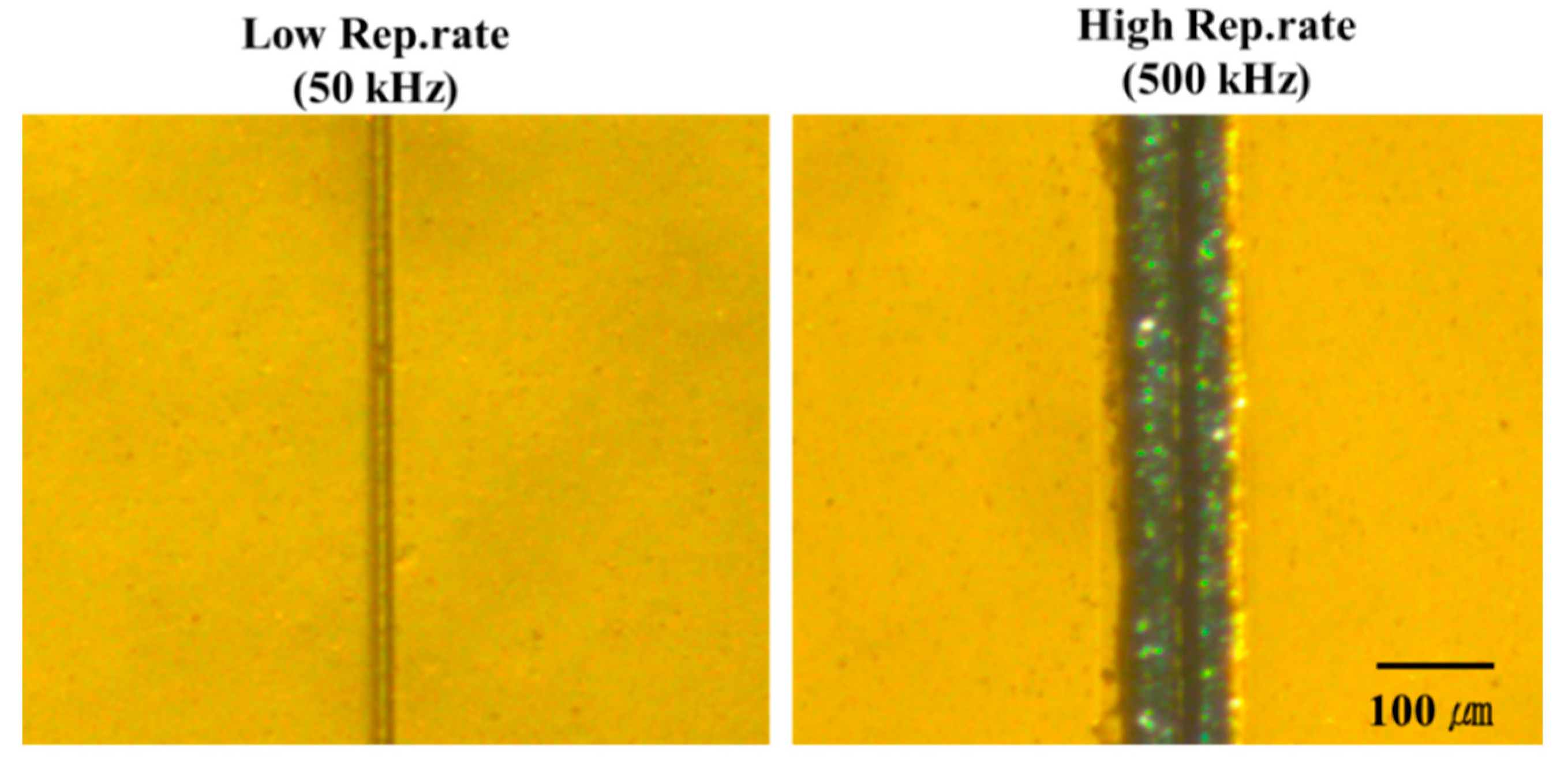 Polymers 12 02018 g008