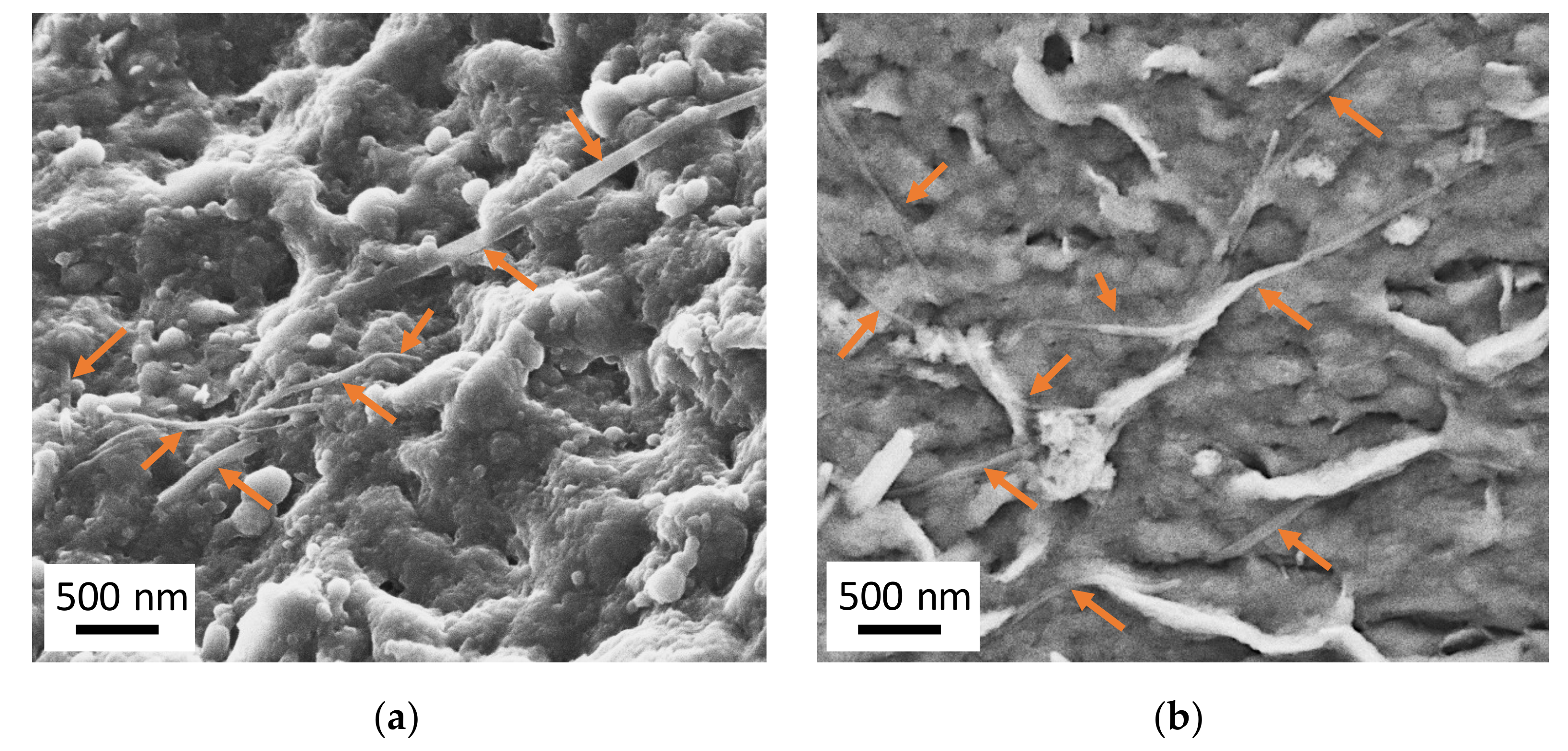Polymers 12 02021 g009 Polymers 12 02021 g009