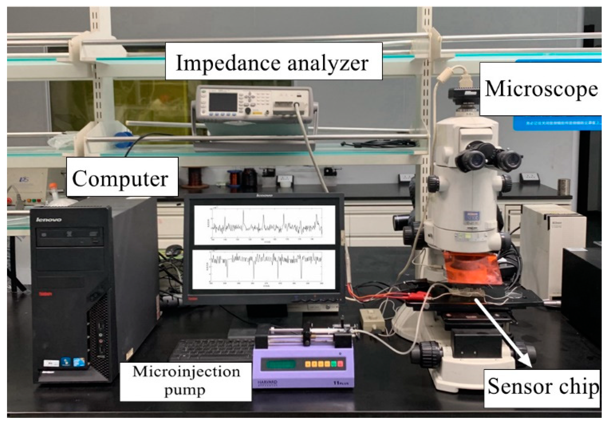 Polymers 12 02022 g005