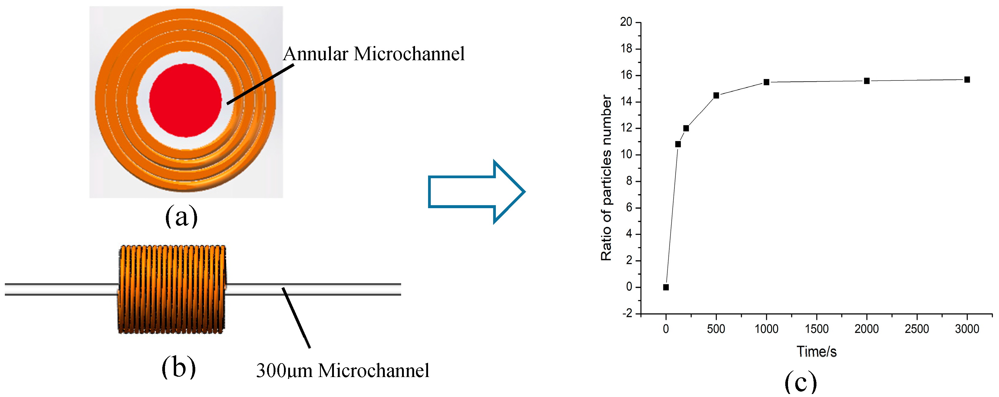 Polymers 12 02022 g012