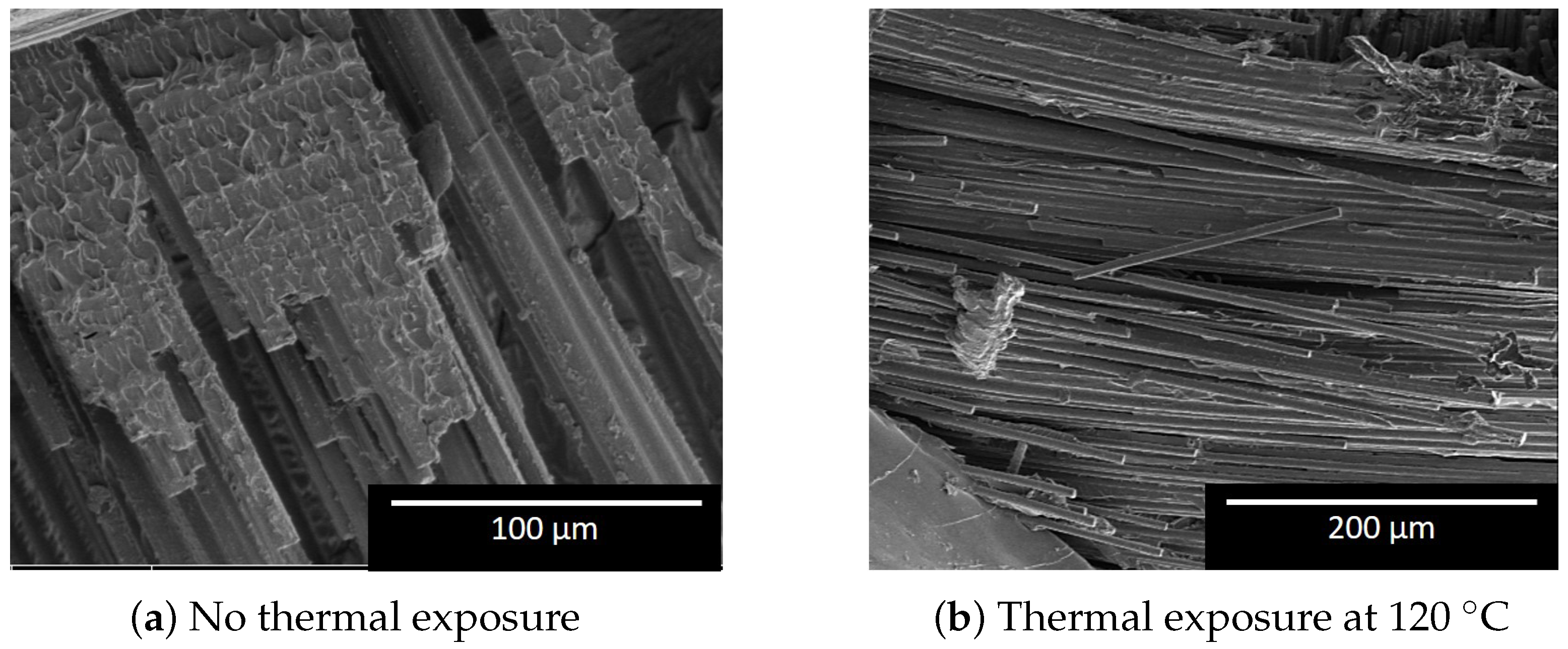 Polymers 12 02028 g006 Polymers 12 02028 g006