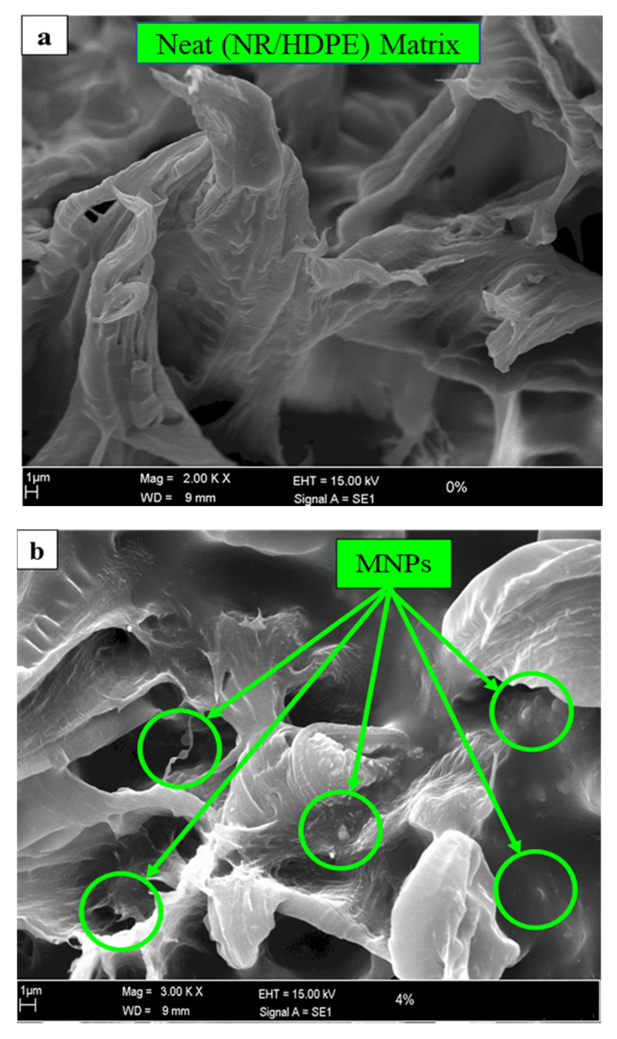 Polymers 12 02030 g002a