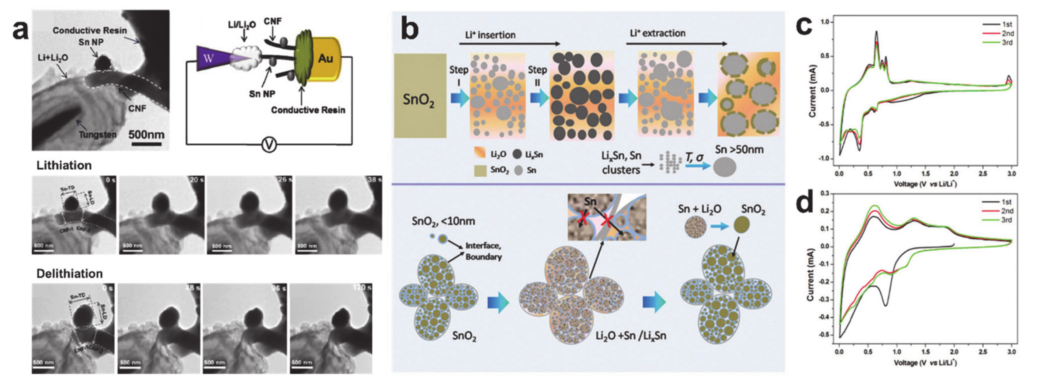 Polymers 12 02035 g013 Polymers 12 02035 g013