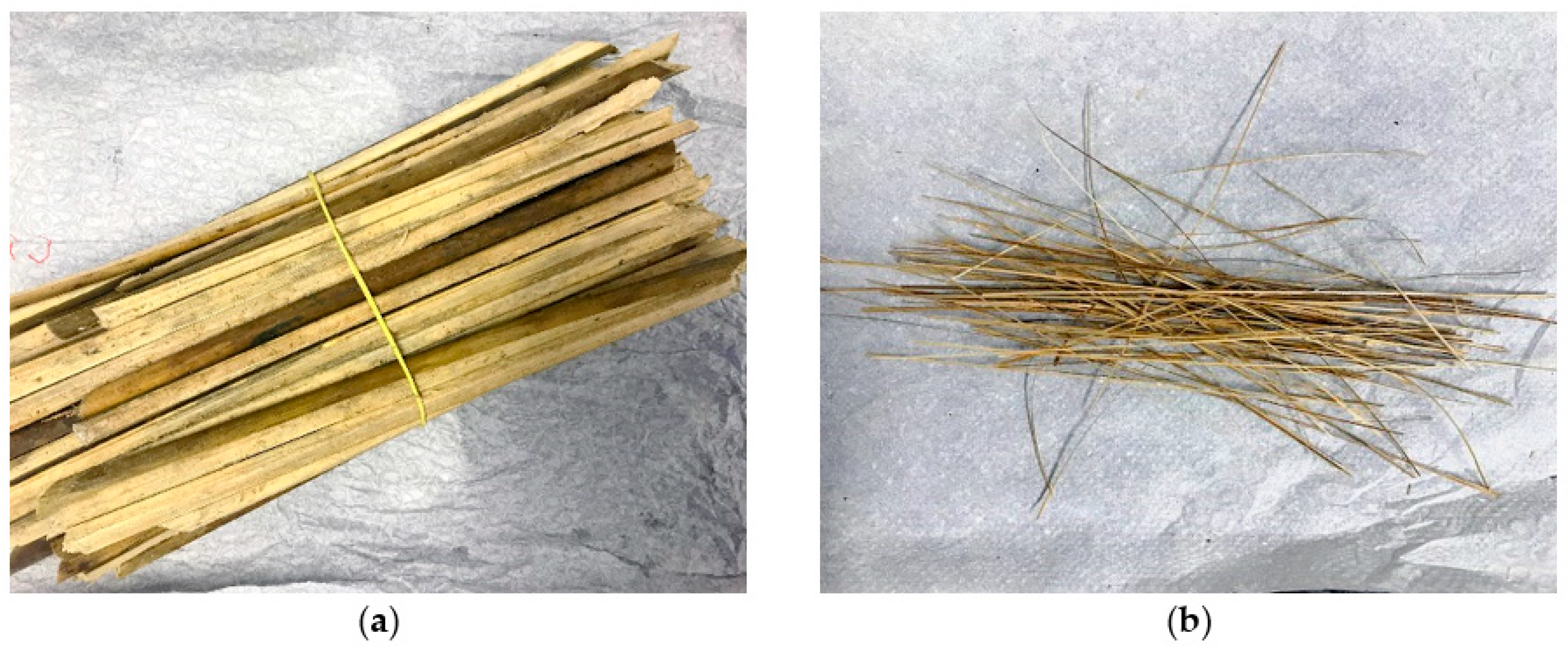 Polymers 12 02037 g001