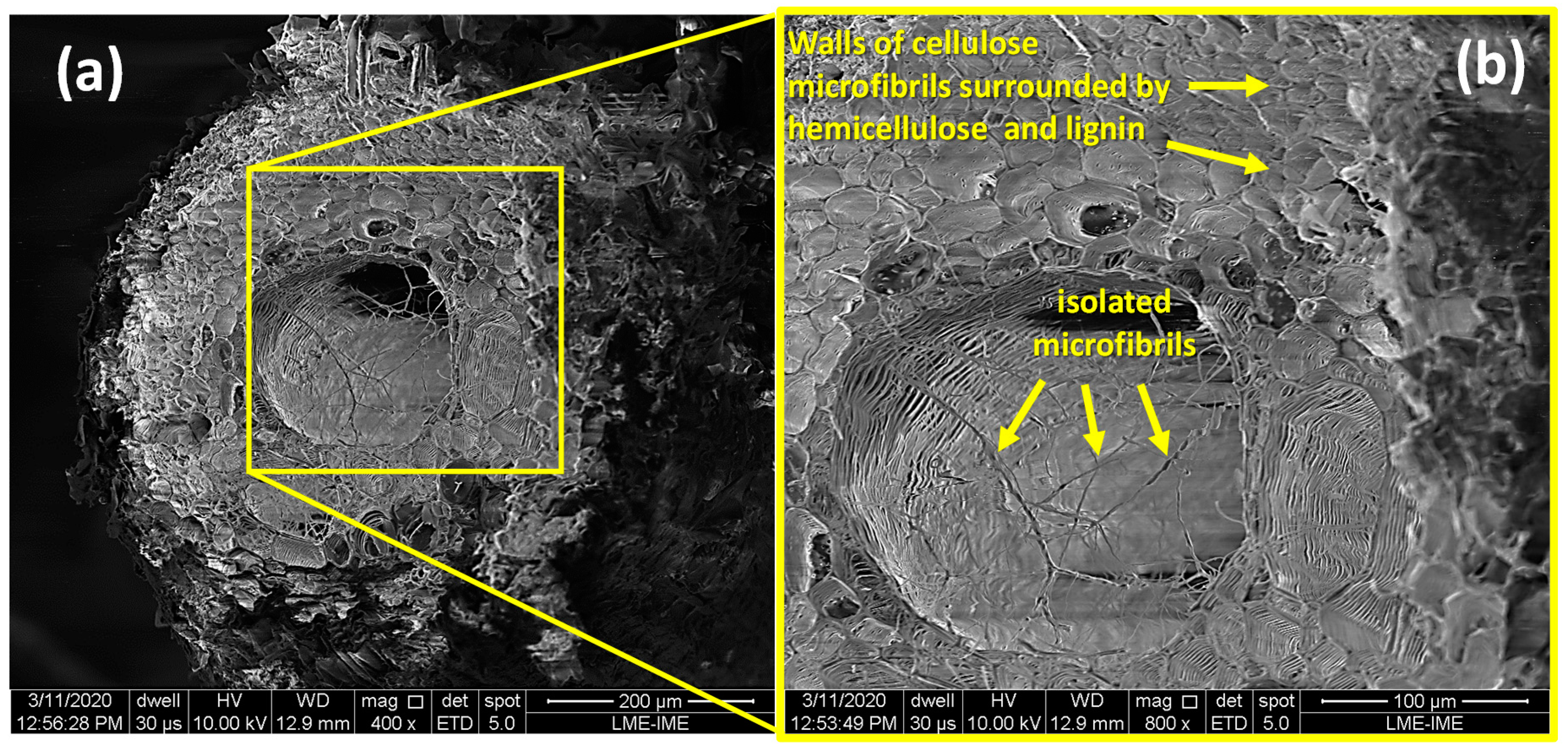 Polymers 12 02037 g004
