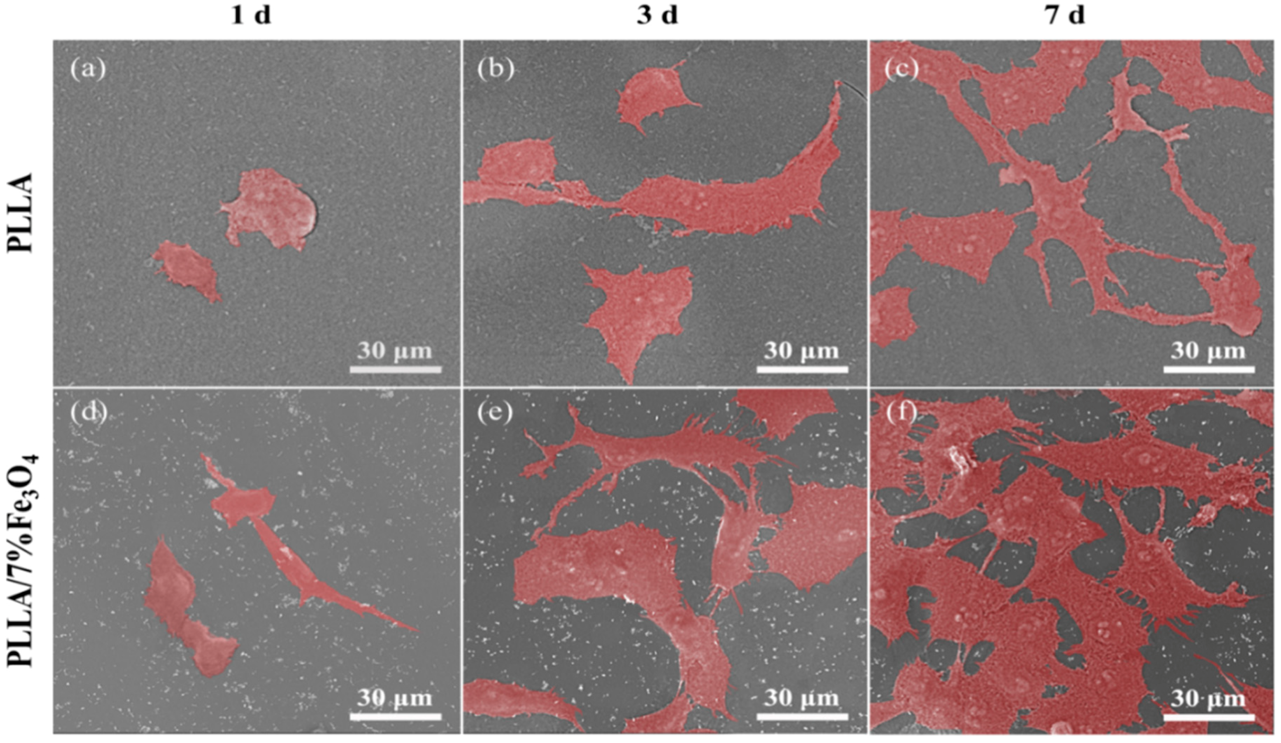 Polymers 12 02045 g006