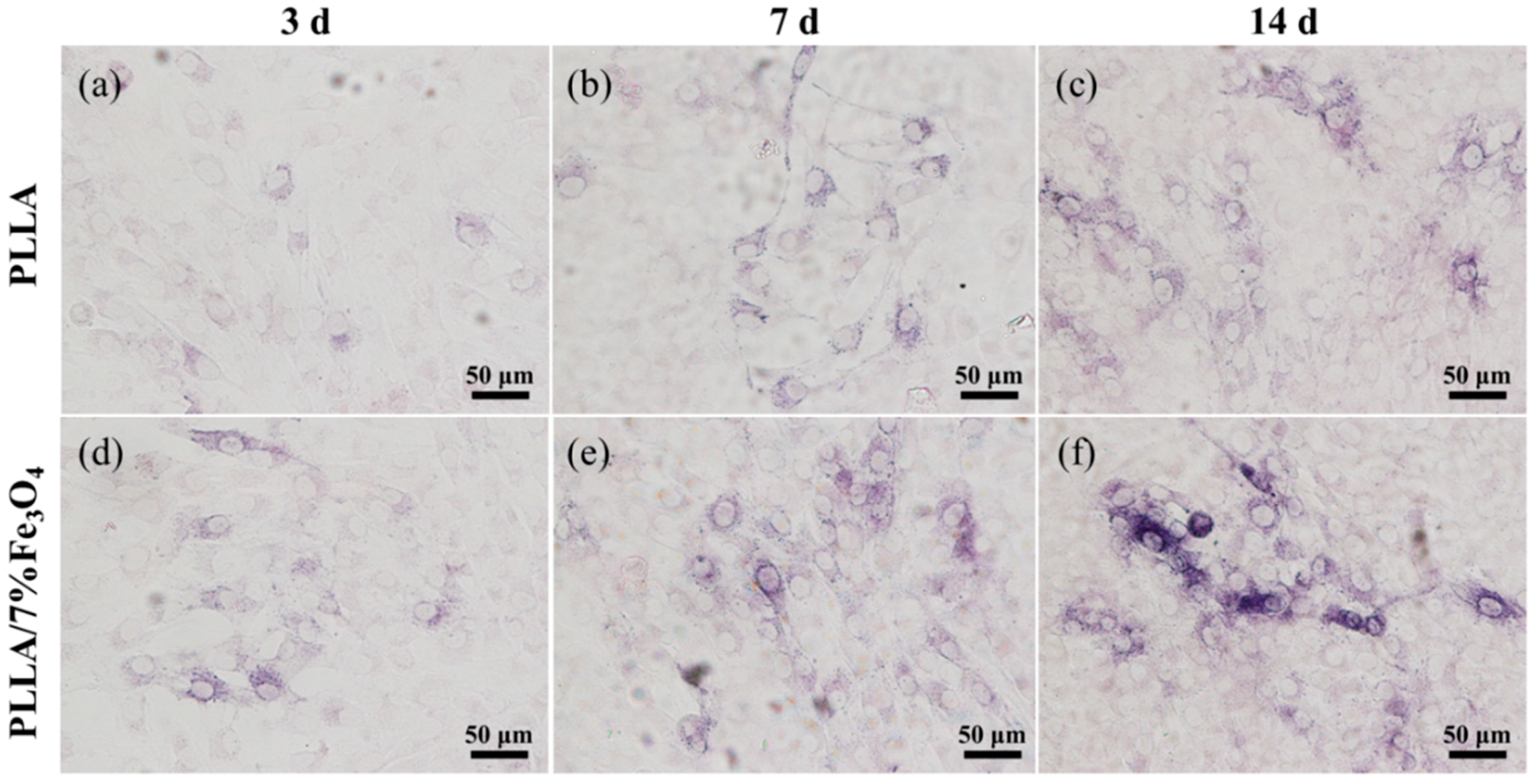 Polymers 12 02045 g008