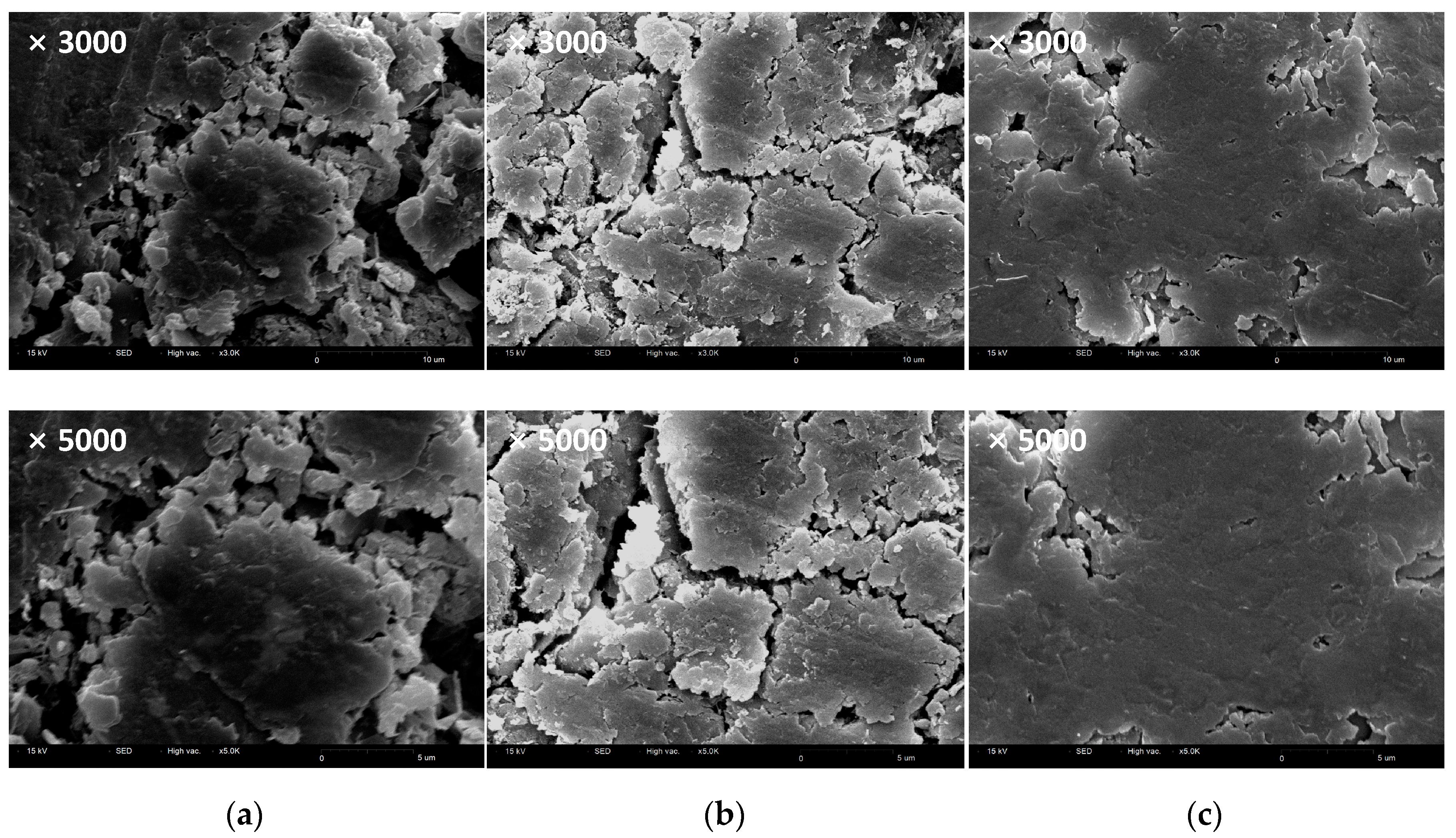 Polymers 12 02050 g006 Polymers 12 02050 g006