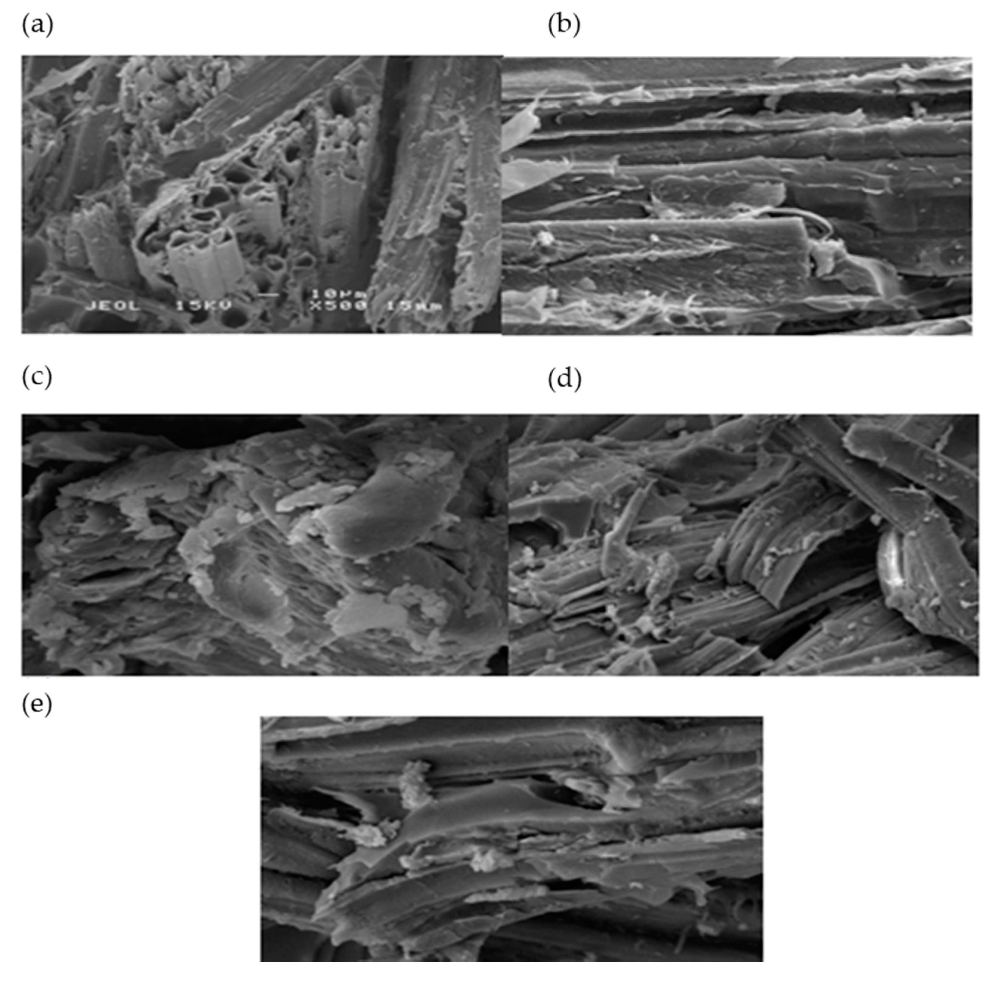Polymers 12 02052 g002