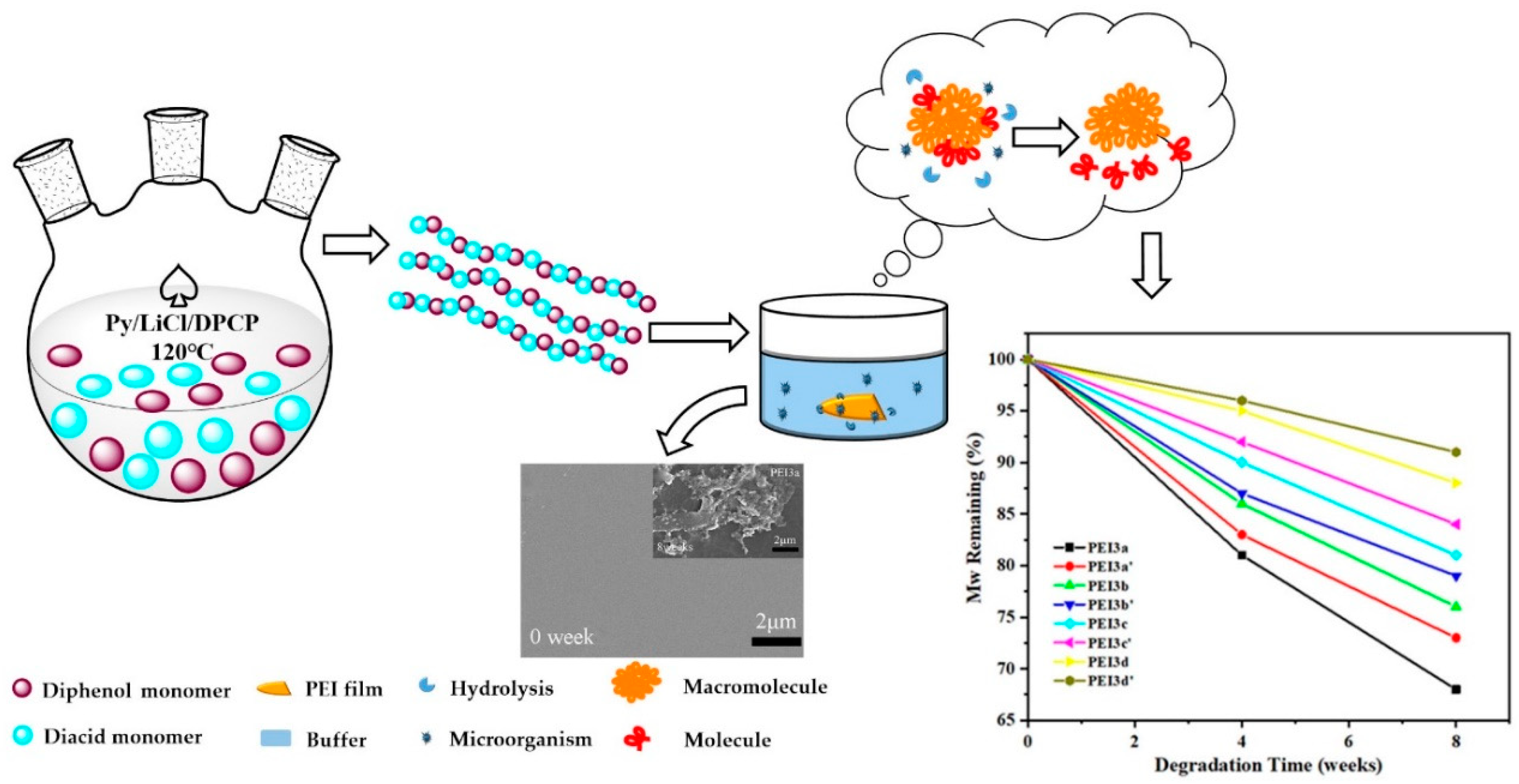 Polymers 12 02053 g001