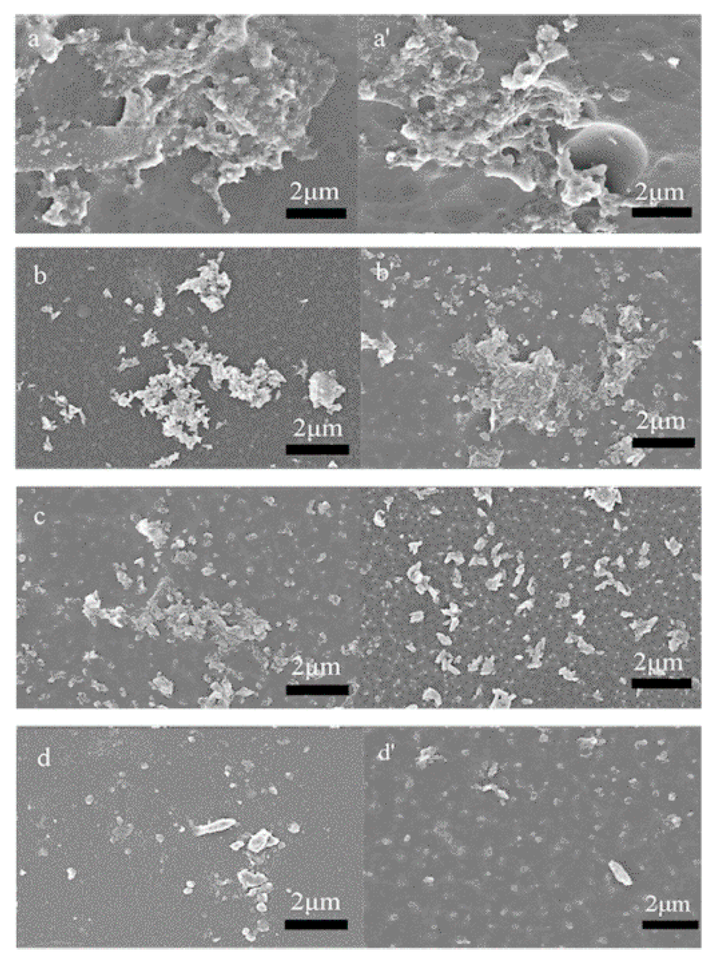 Polymers 12 02053 g012