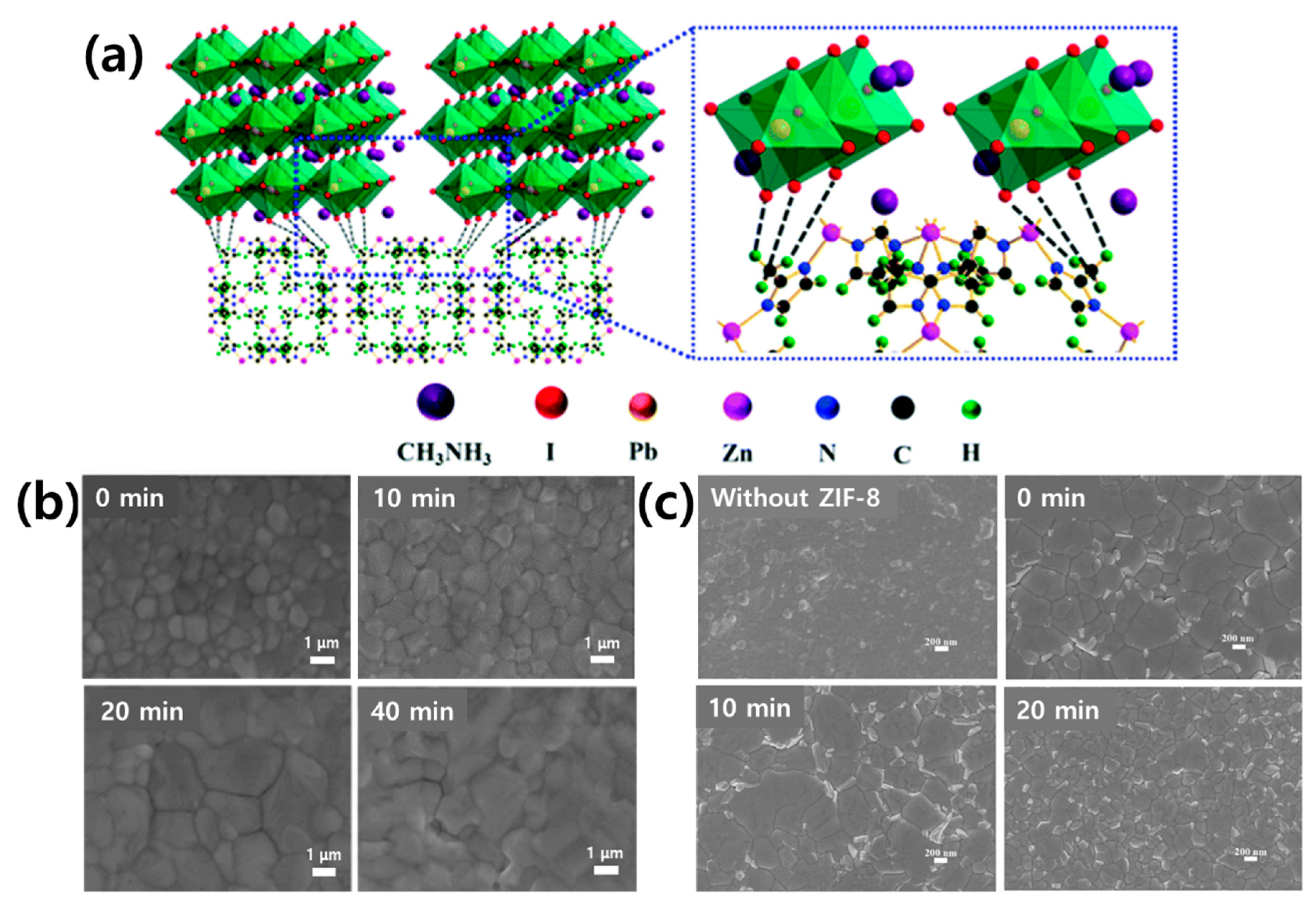 Polymers 12 02061 g012 Polymers 12 02061 g012