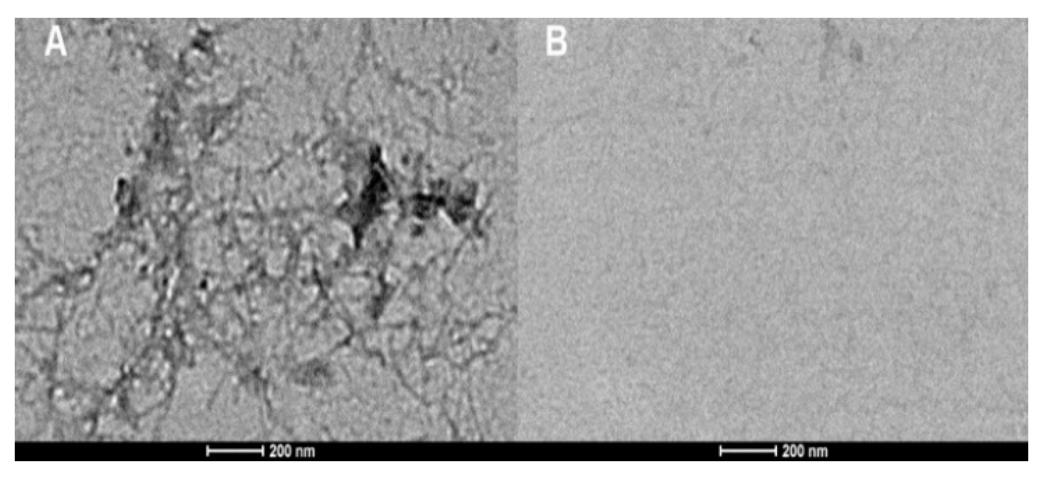 Polymers 12 02065 g005 Polymers 12 02065 g005