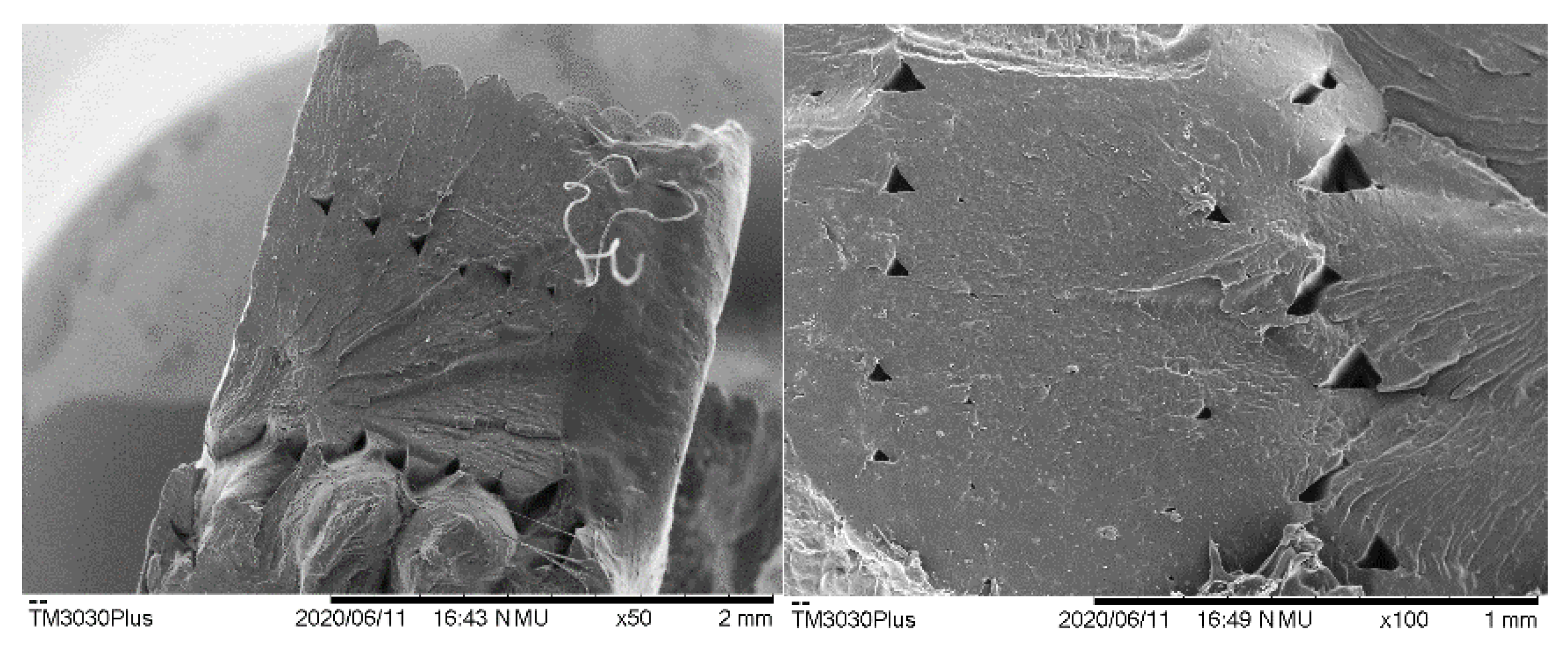 Polymers 12 02070 g009