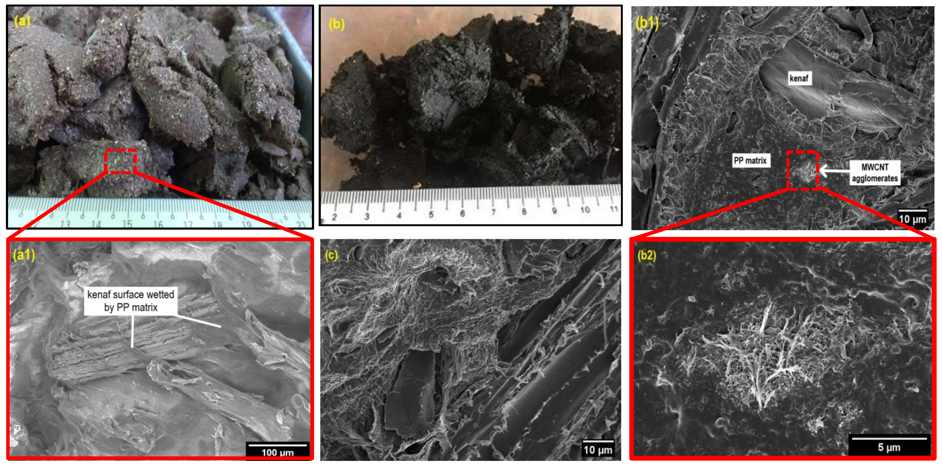 Polymers 12 02083 g004