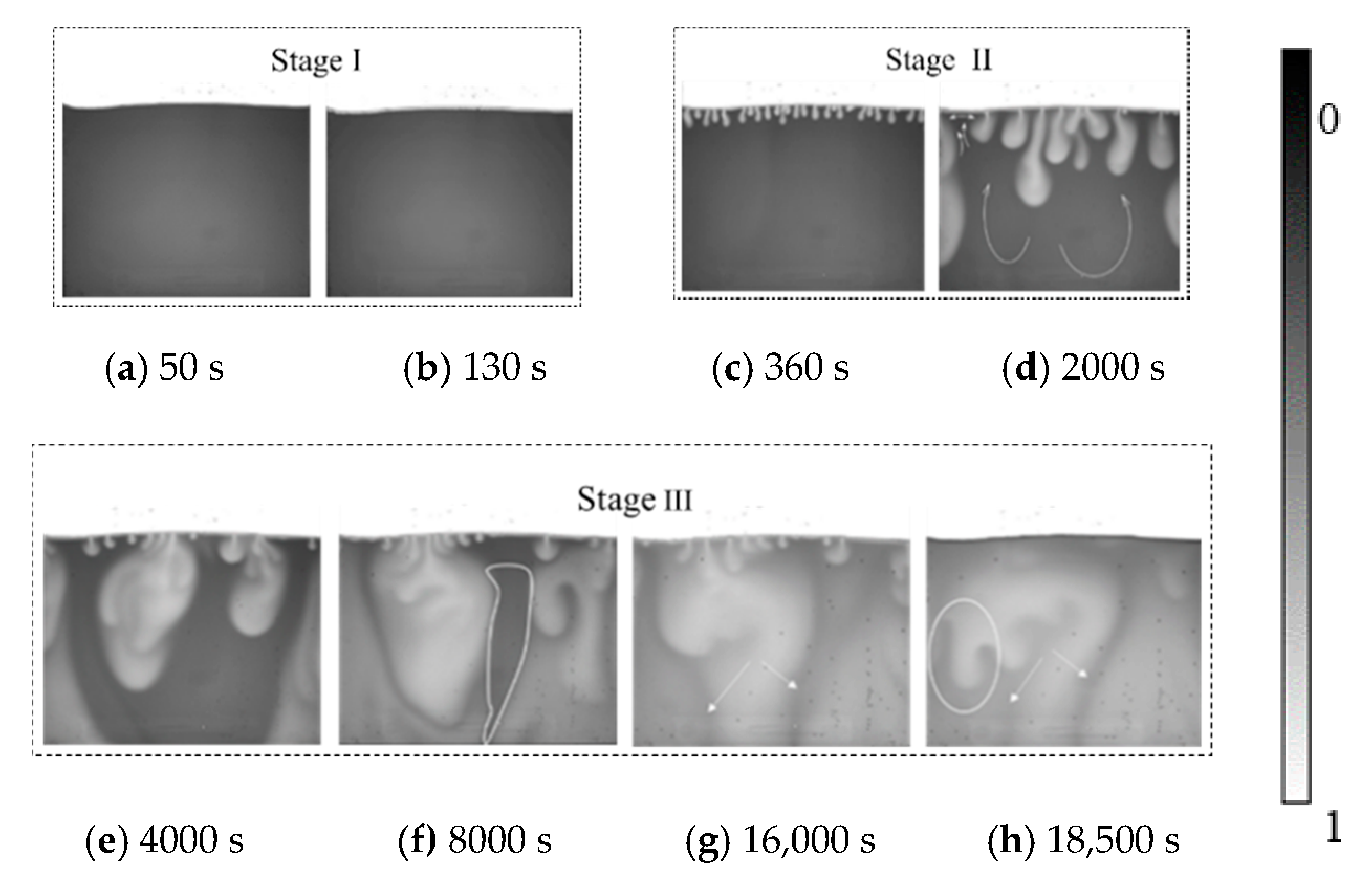 Polymers 12 02084 g003