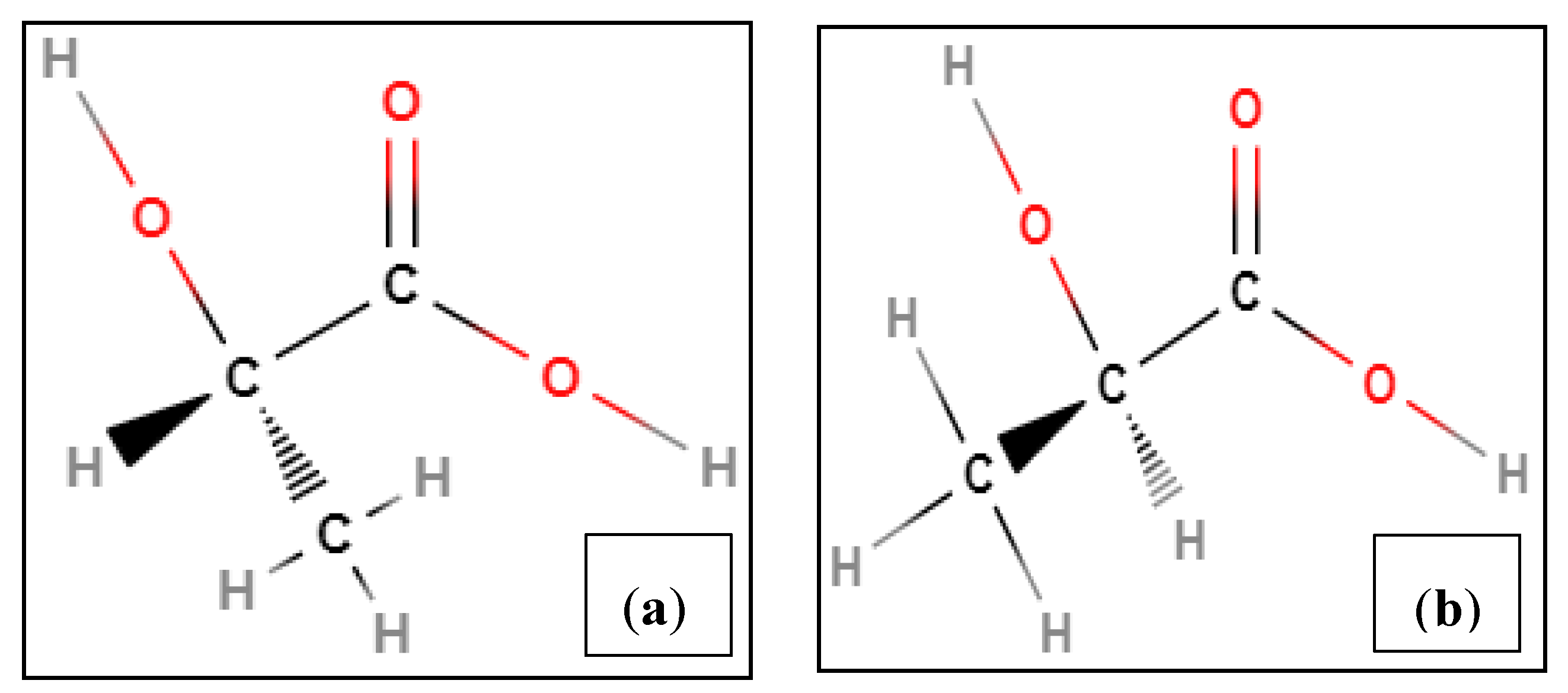Polymers 12 02091 g001