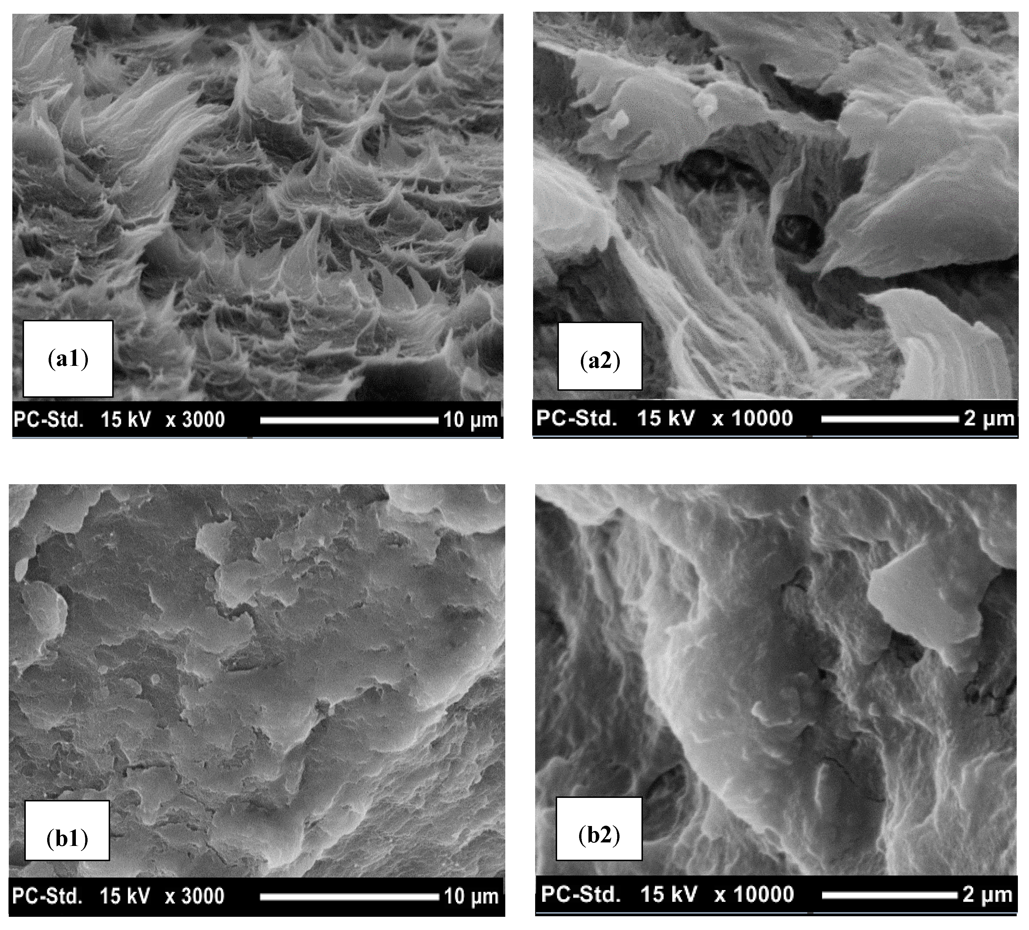 Polymers 12 02091 g012