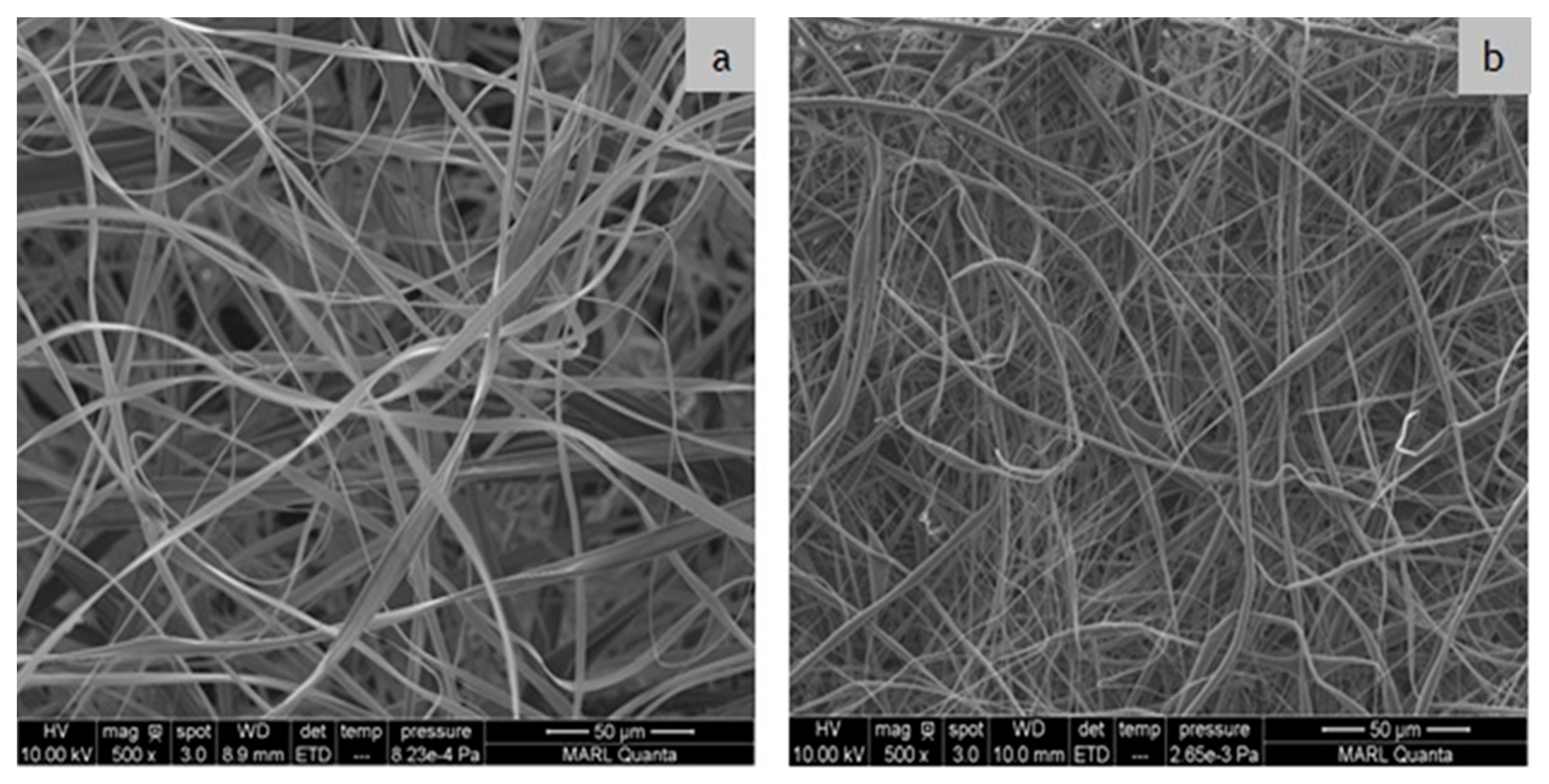 Polymers 12 02092 g002