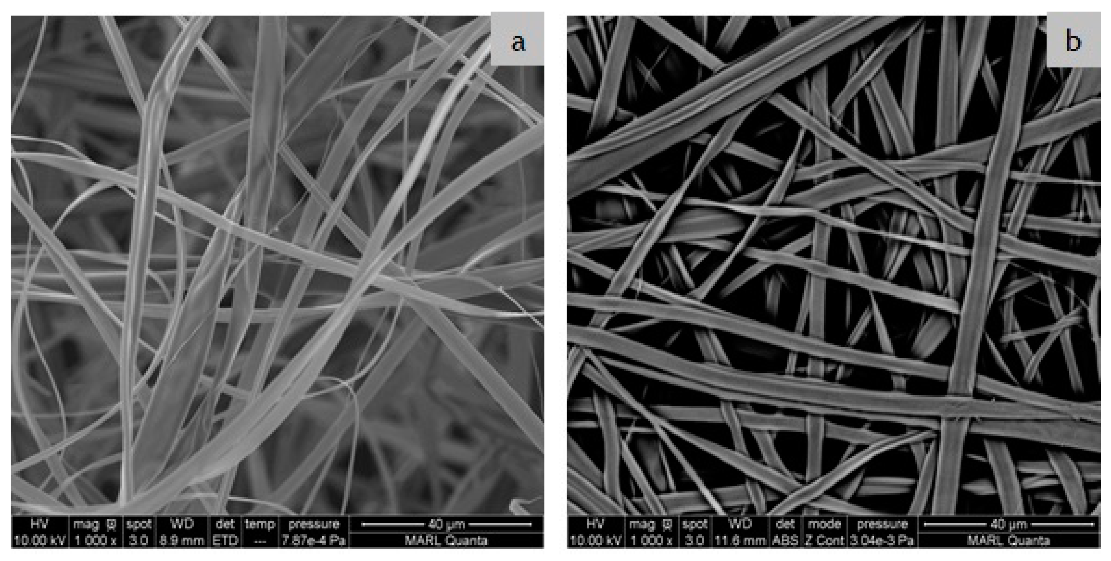 Polymers 12 02092 g004