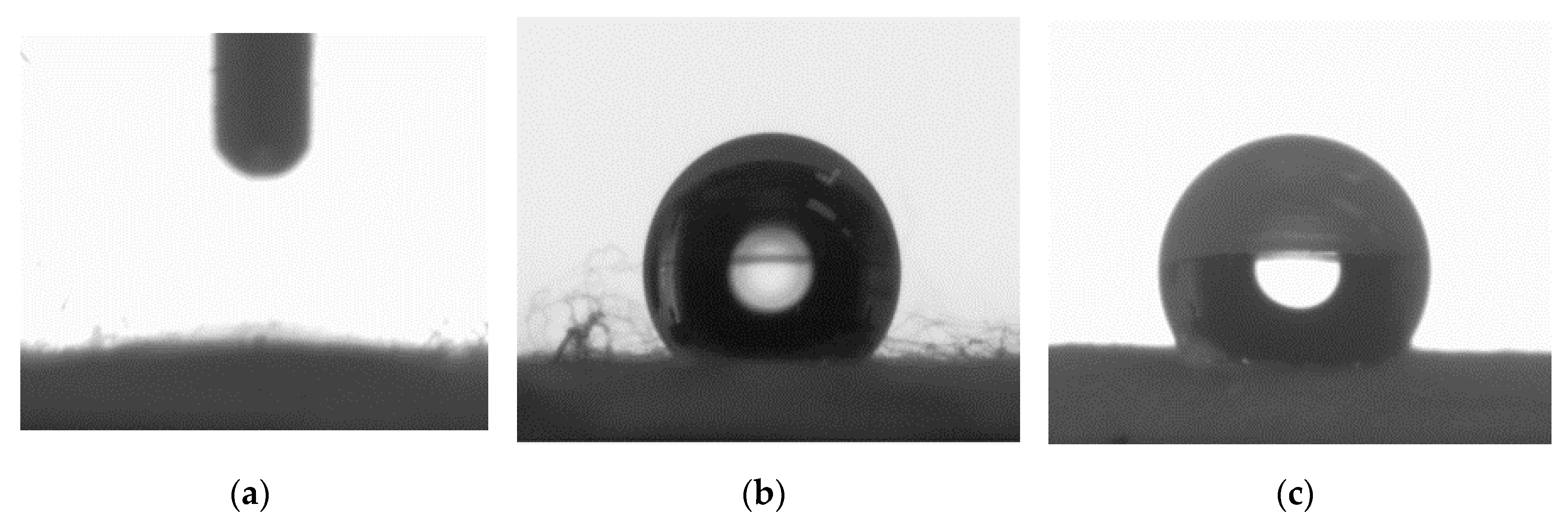 Polymers 12 02092 g008