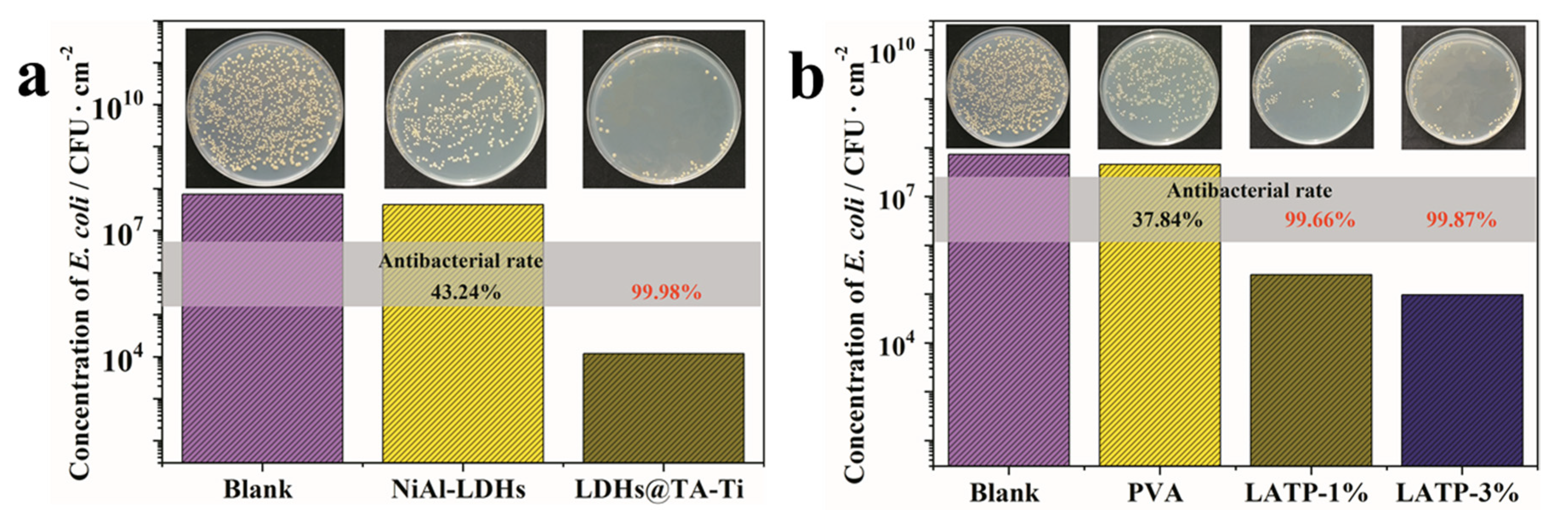 Polymers 12 02093 g005
