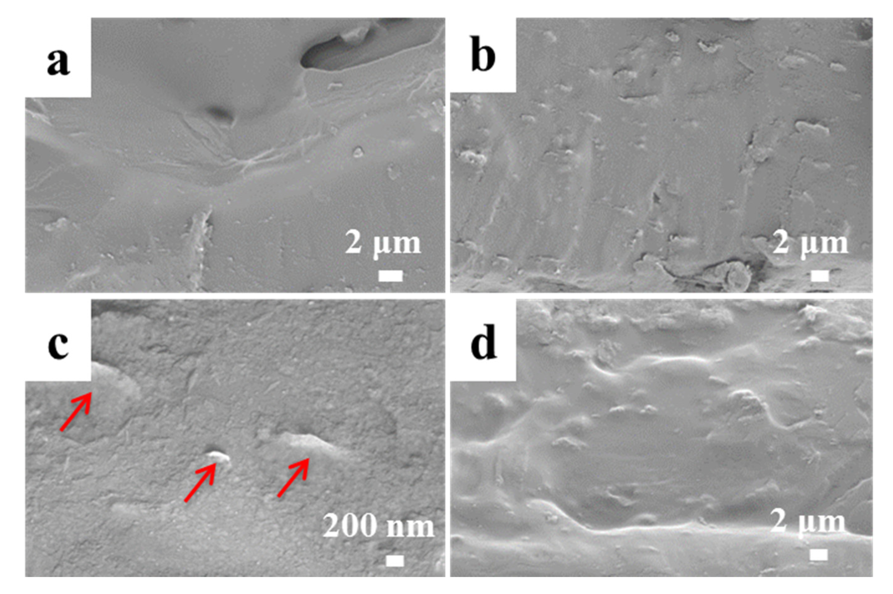 Polymers 12 02093 g009