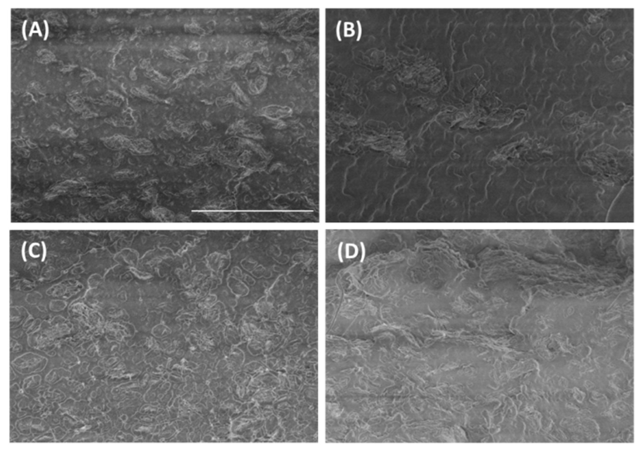 Polymers 12 02094 g001