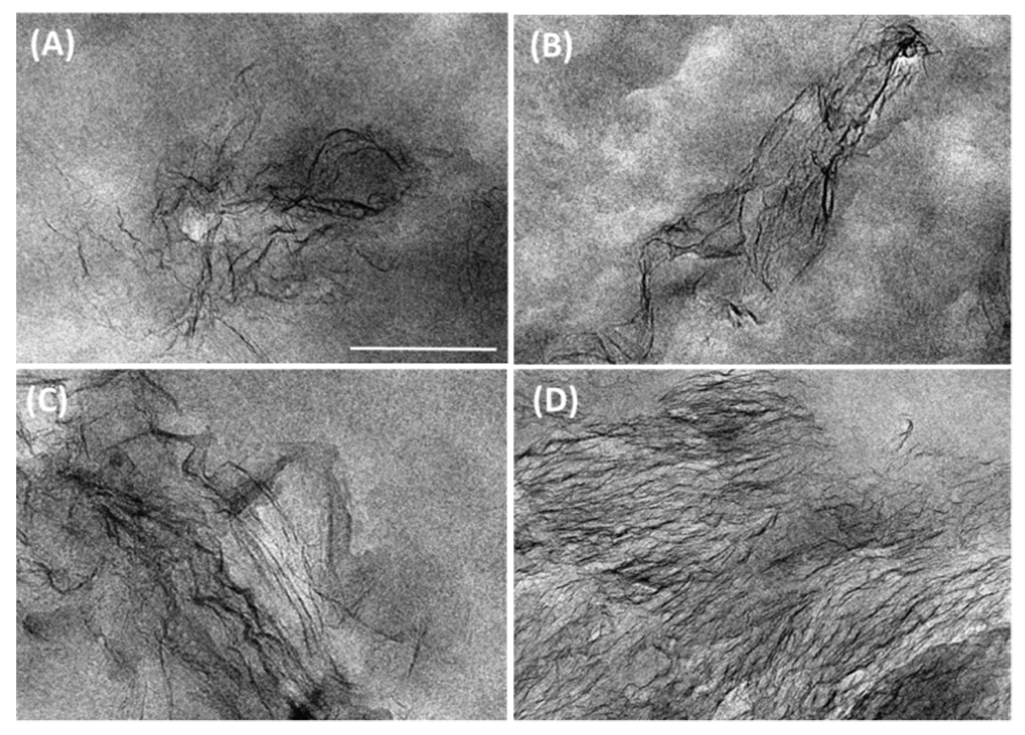 Polymers 12 02094 g002