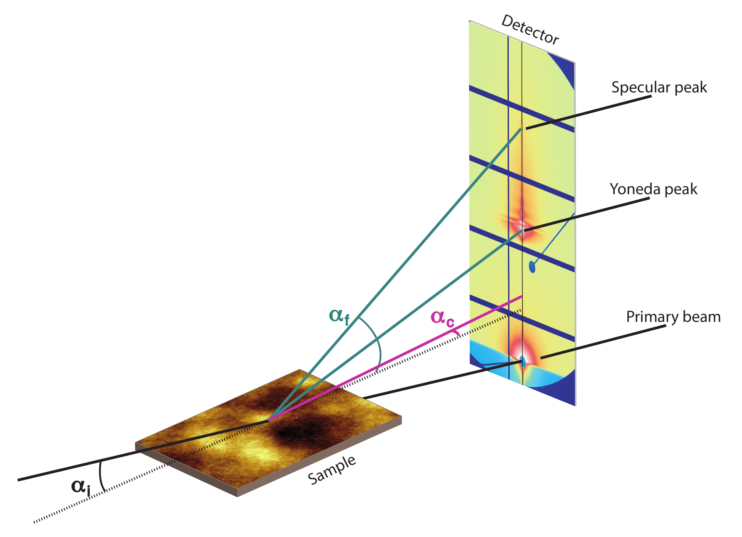 Polymers 12 02101 g002