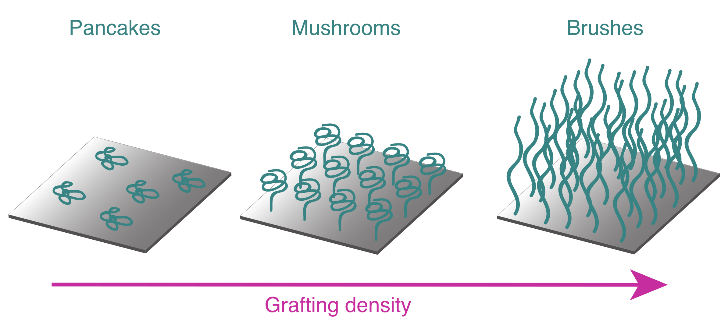 Polymers 12 02101 g003