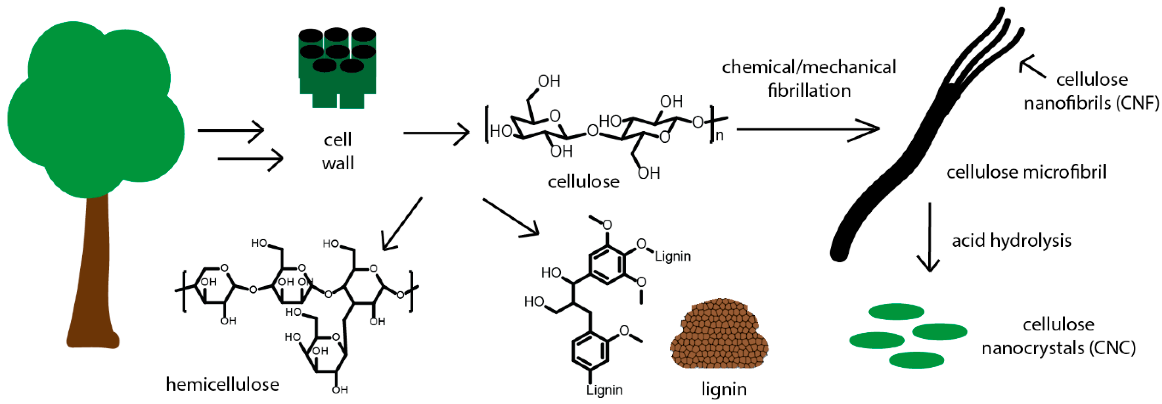 Polymers 12 02115 g002