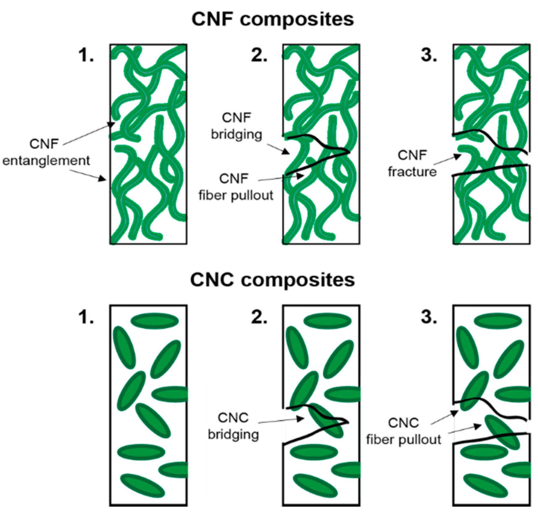 Polymers 12 02115 g006