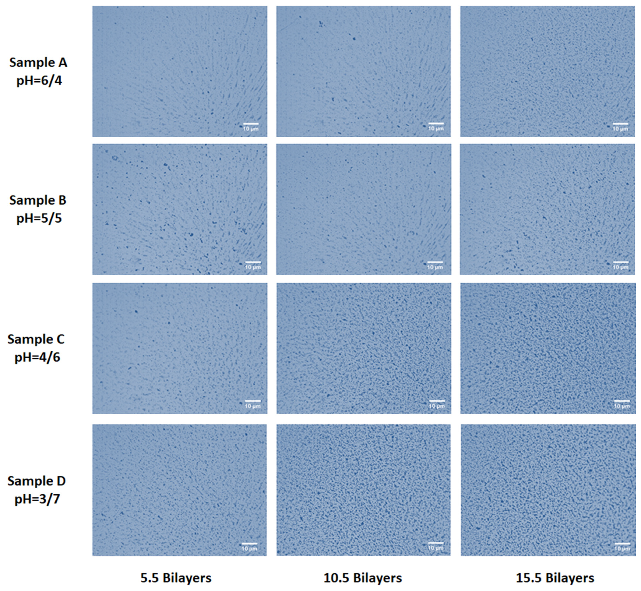 Polymers 12 02116 g006