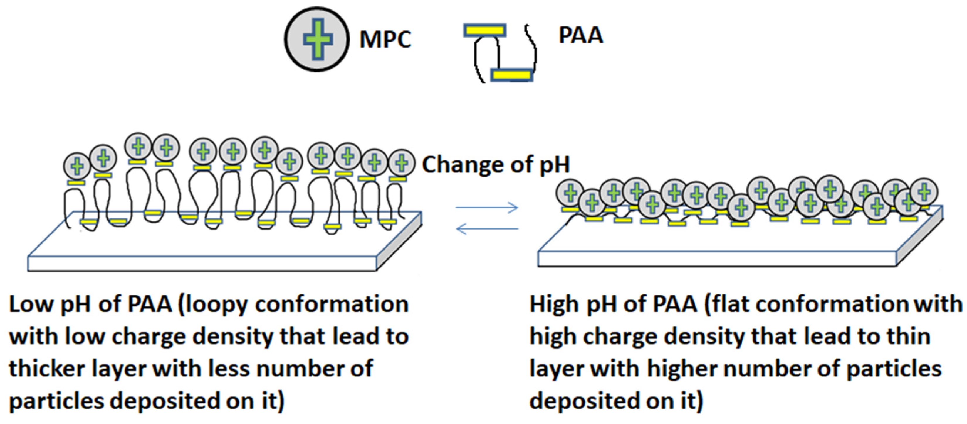 Polymers 12 02116 g009