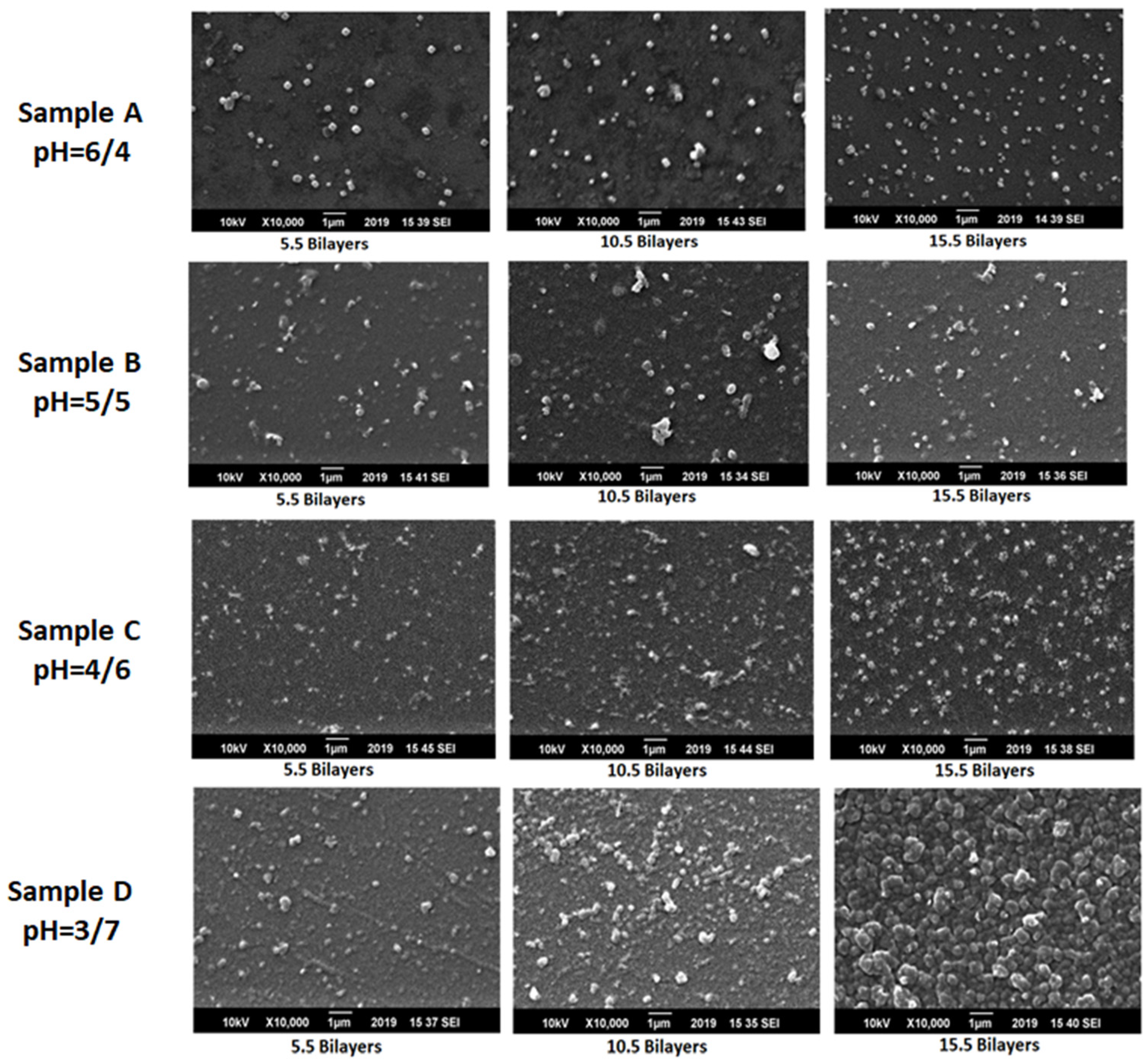 Polymers 12 02116 g010