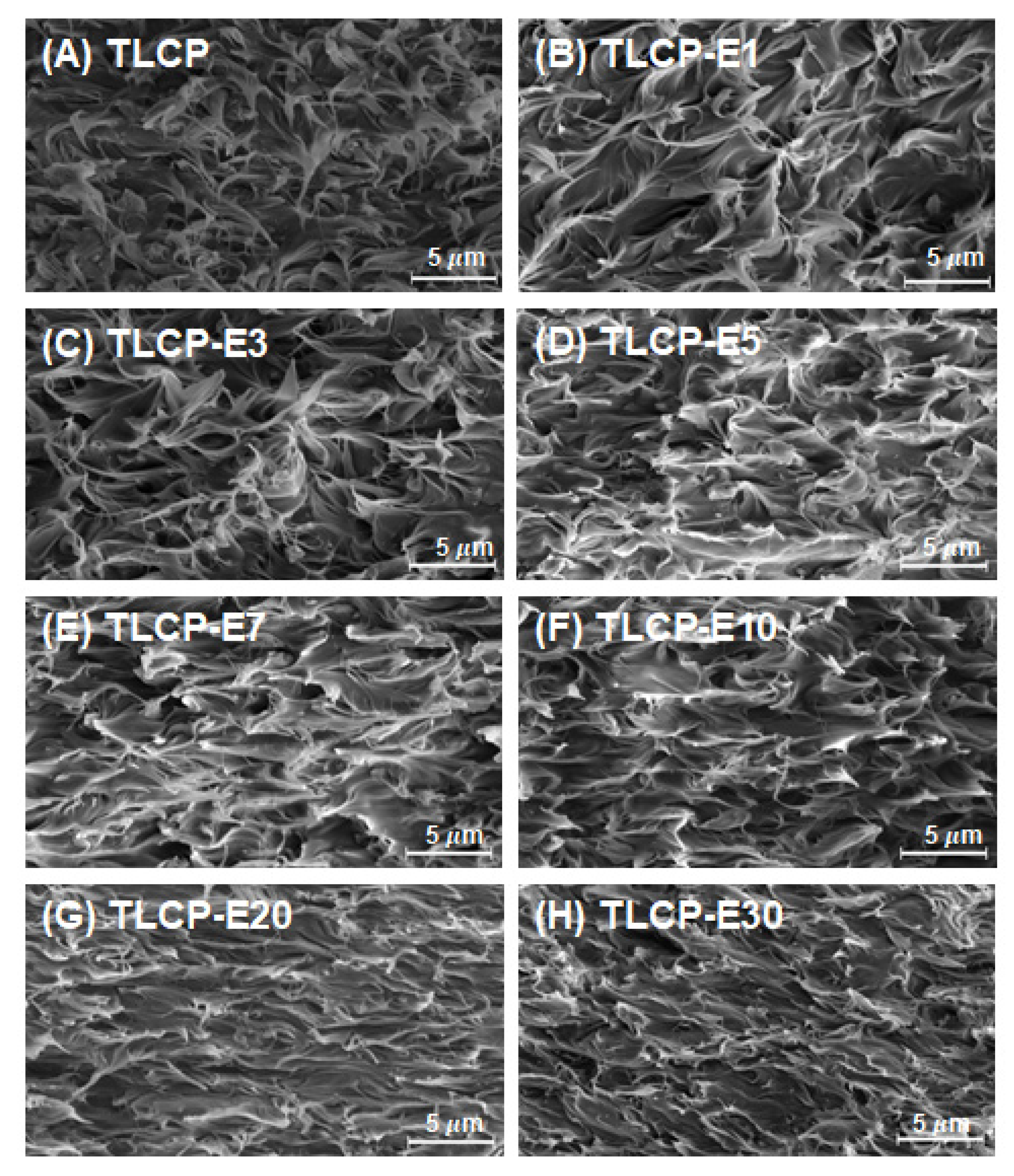 Polymers 12 02124 g002