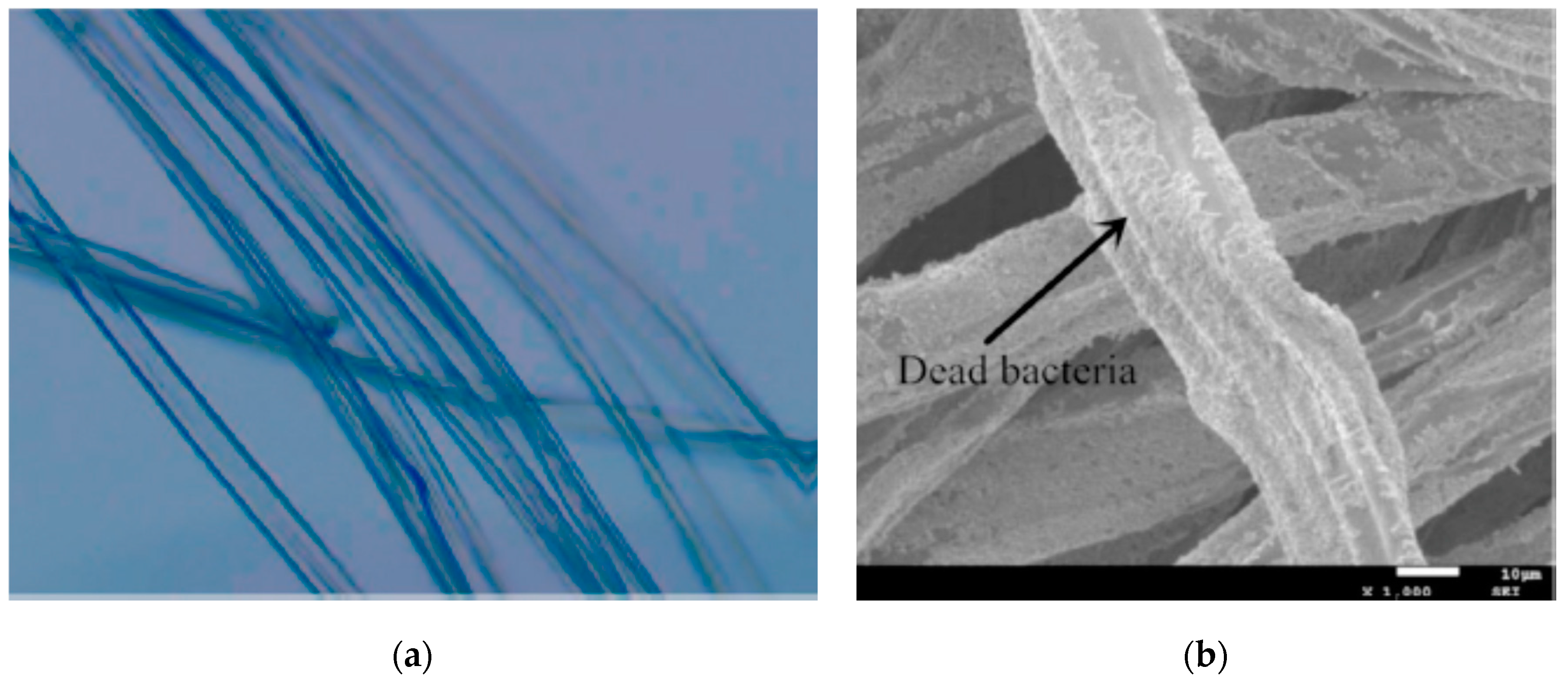 Polymers 12 02142 g003