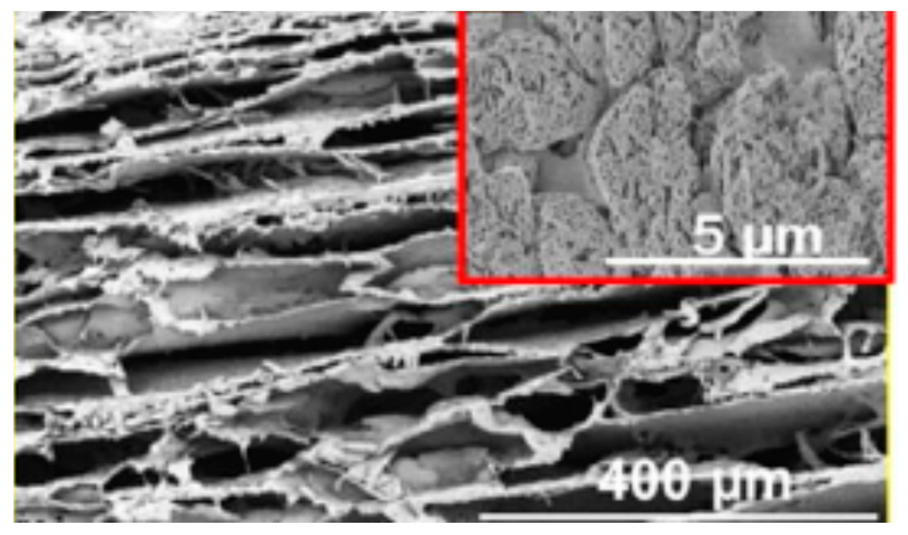 Polymers 12 02142 g011
