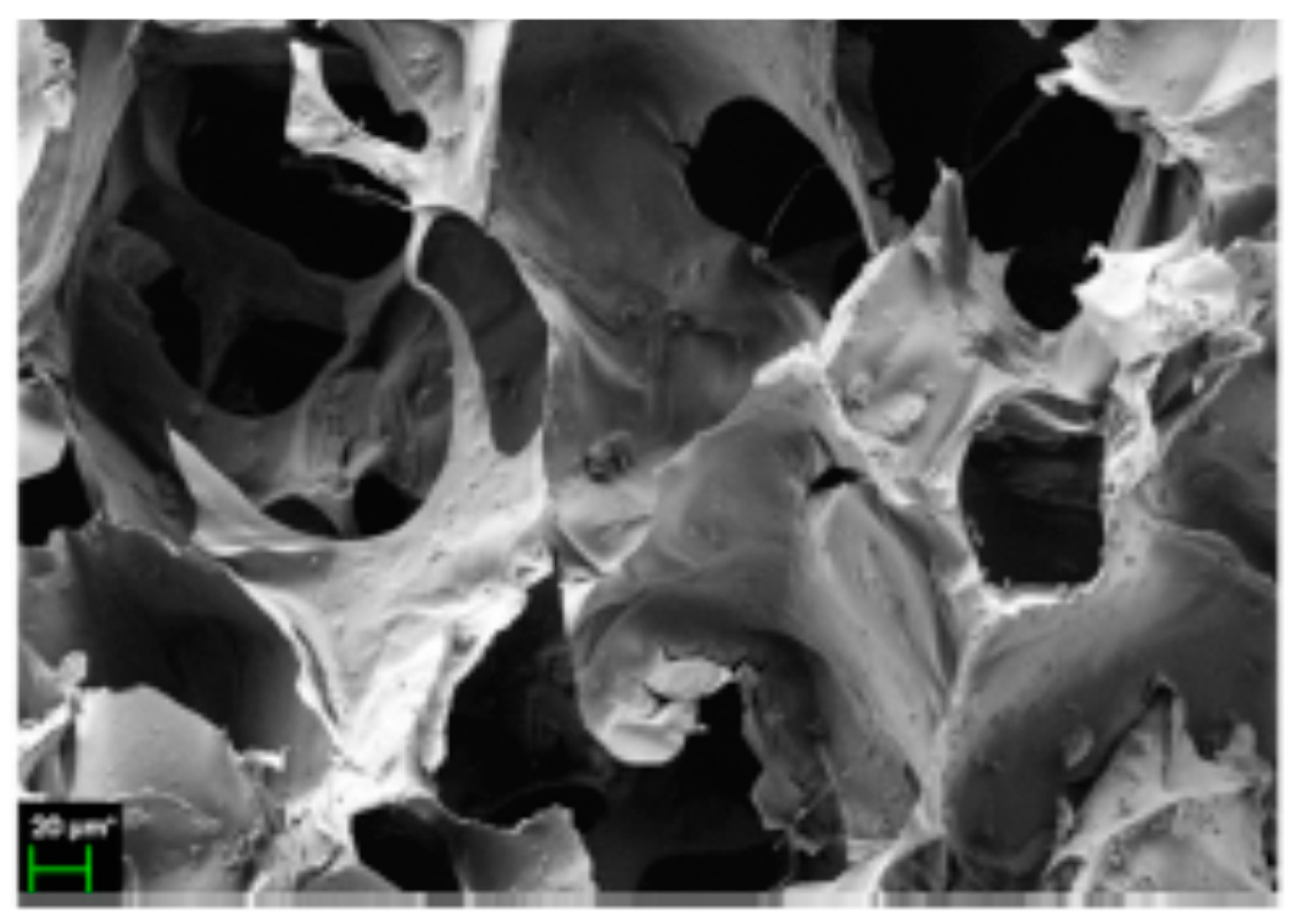 Polymers 12 02142 g015