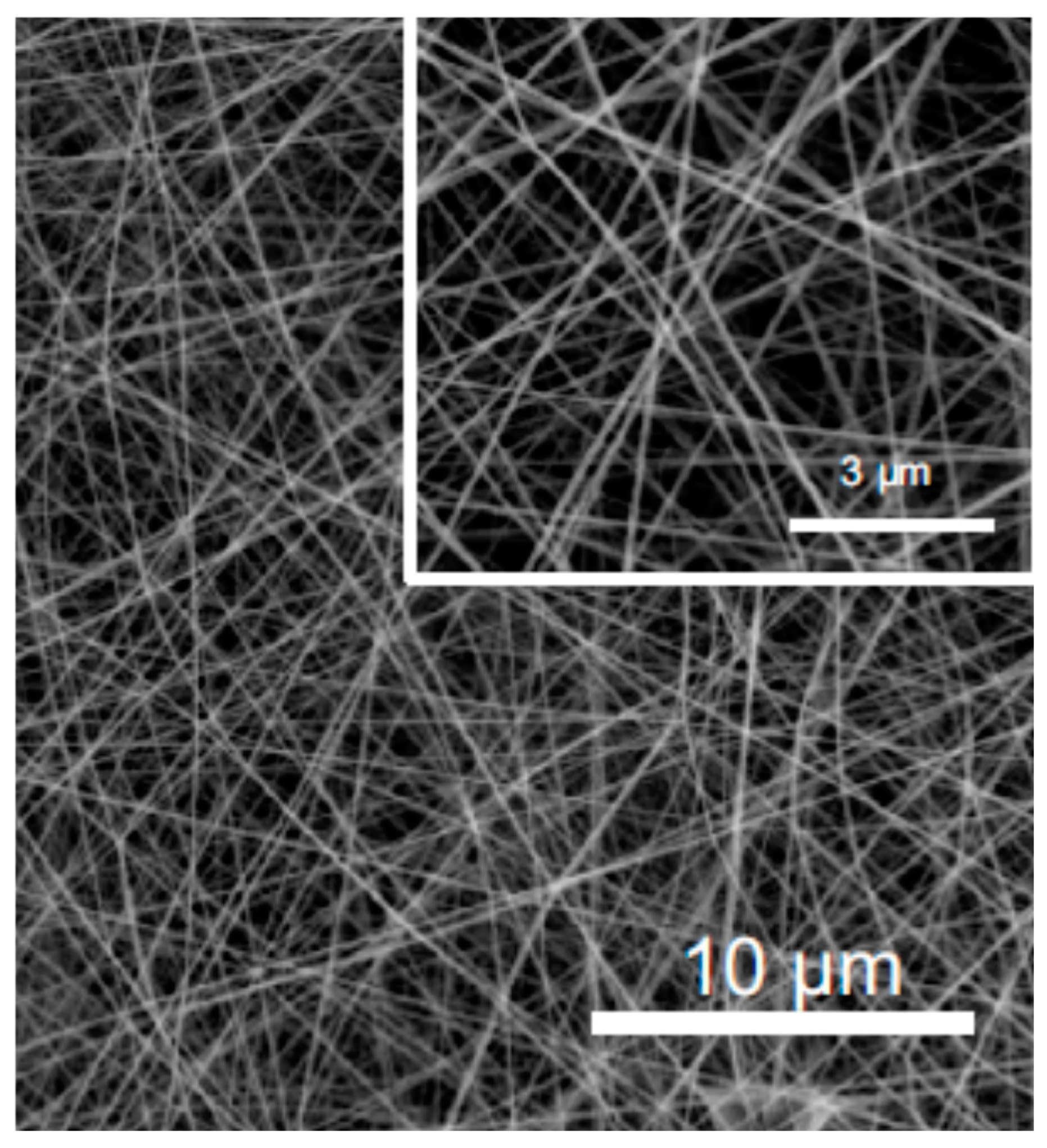 Polymers 12 02142 g017