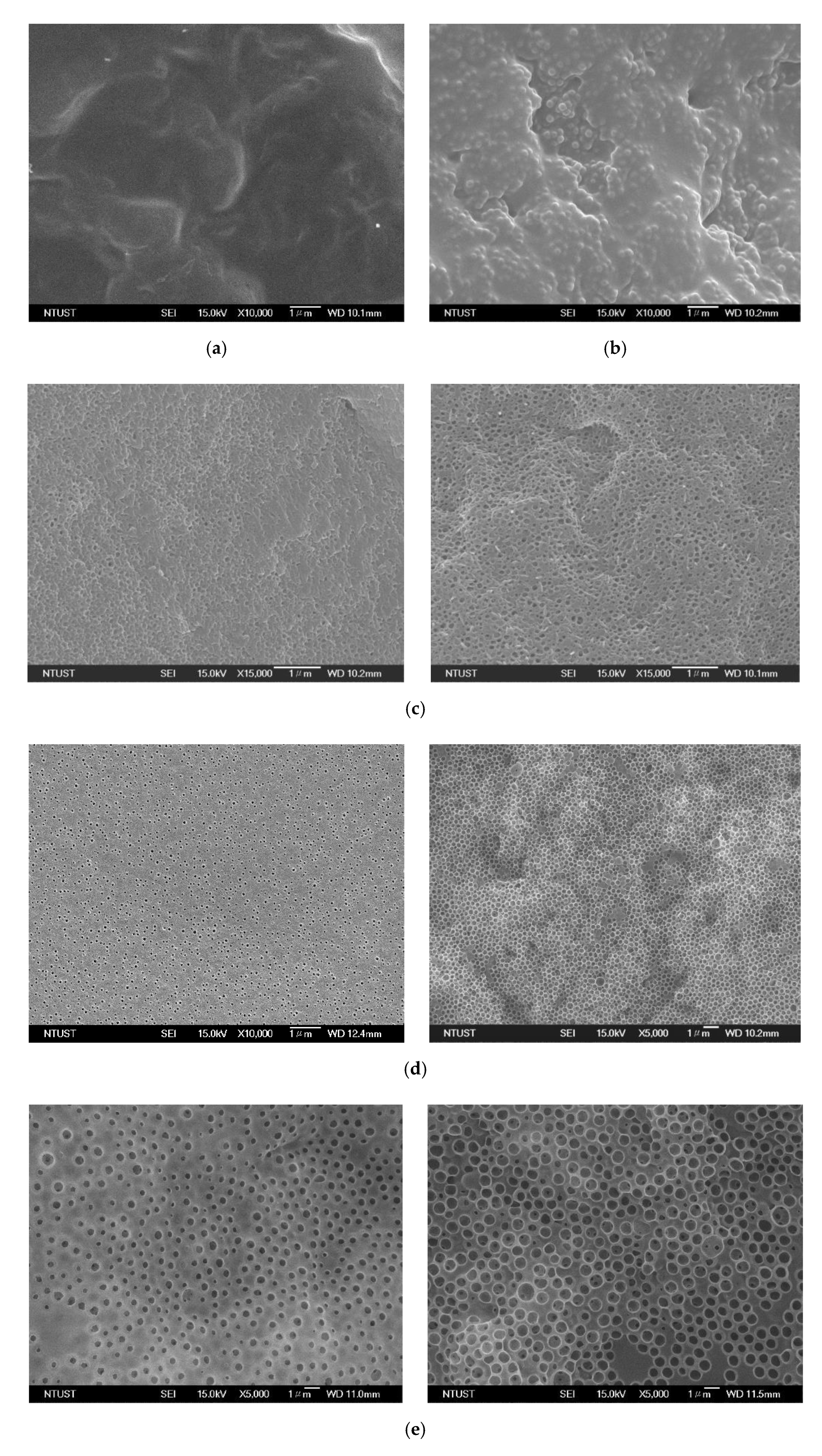 Polymers 12 02156 g003a Polymers 12 02156 g003a