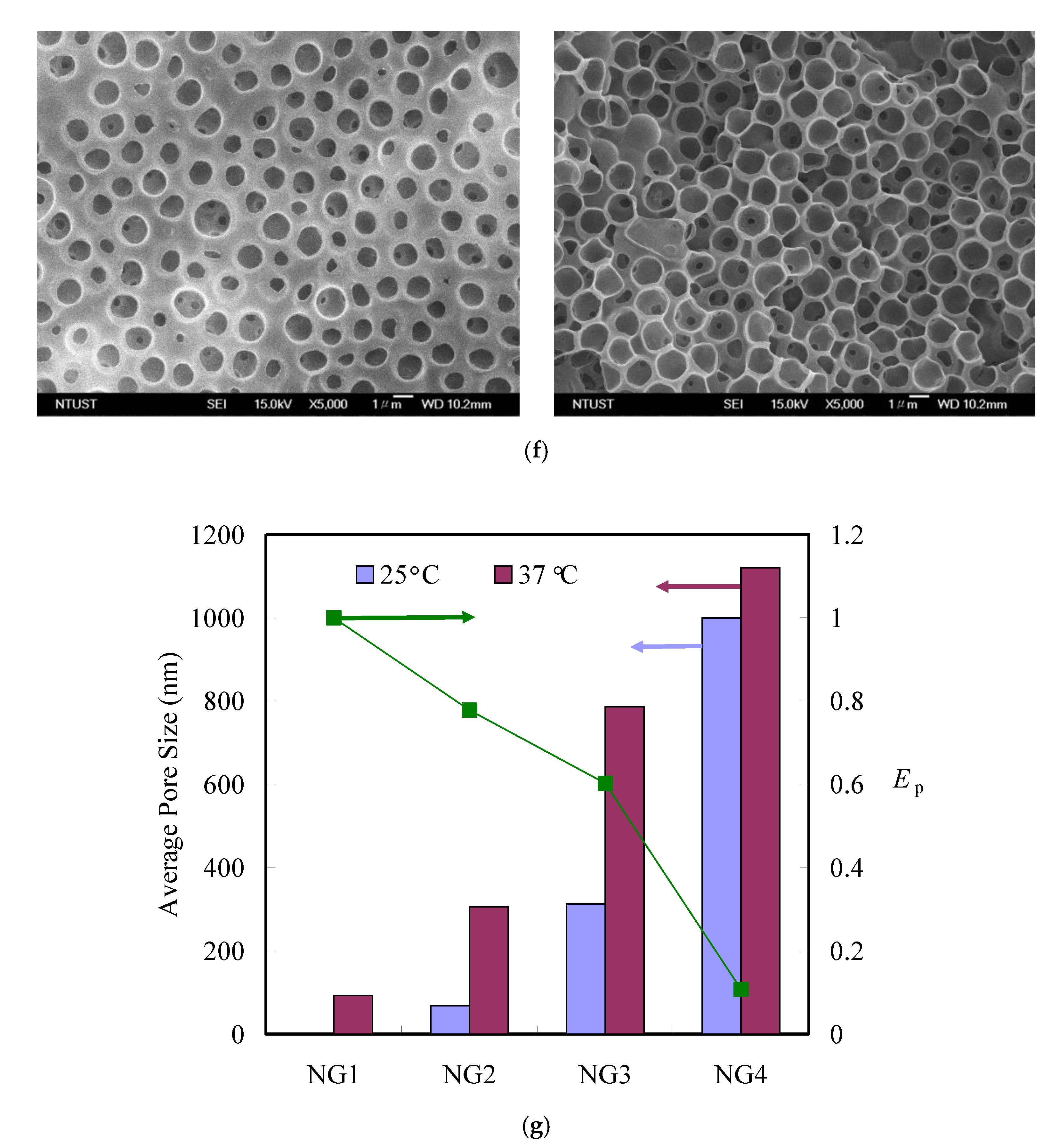 Polymers 12 02156 g003b Polymers 12 02156 g003b