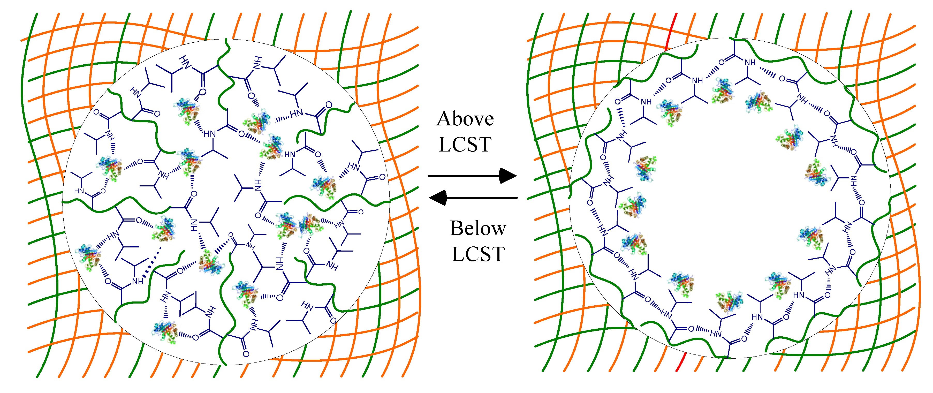 Polymers 12 02156 g004 Polymers 12 02156 g004