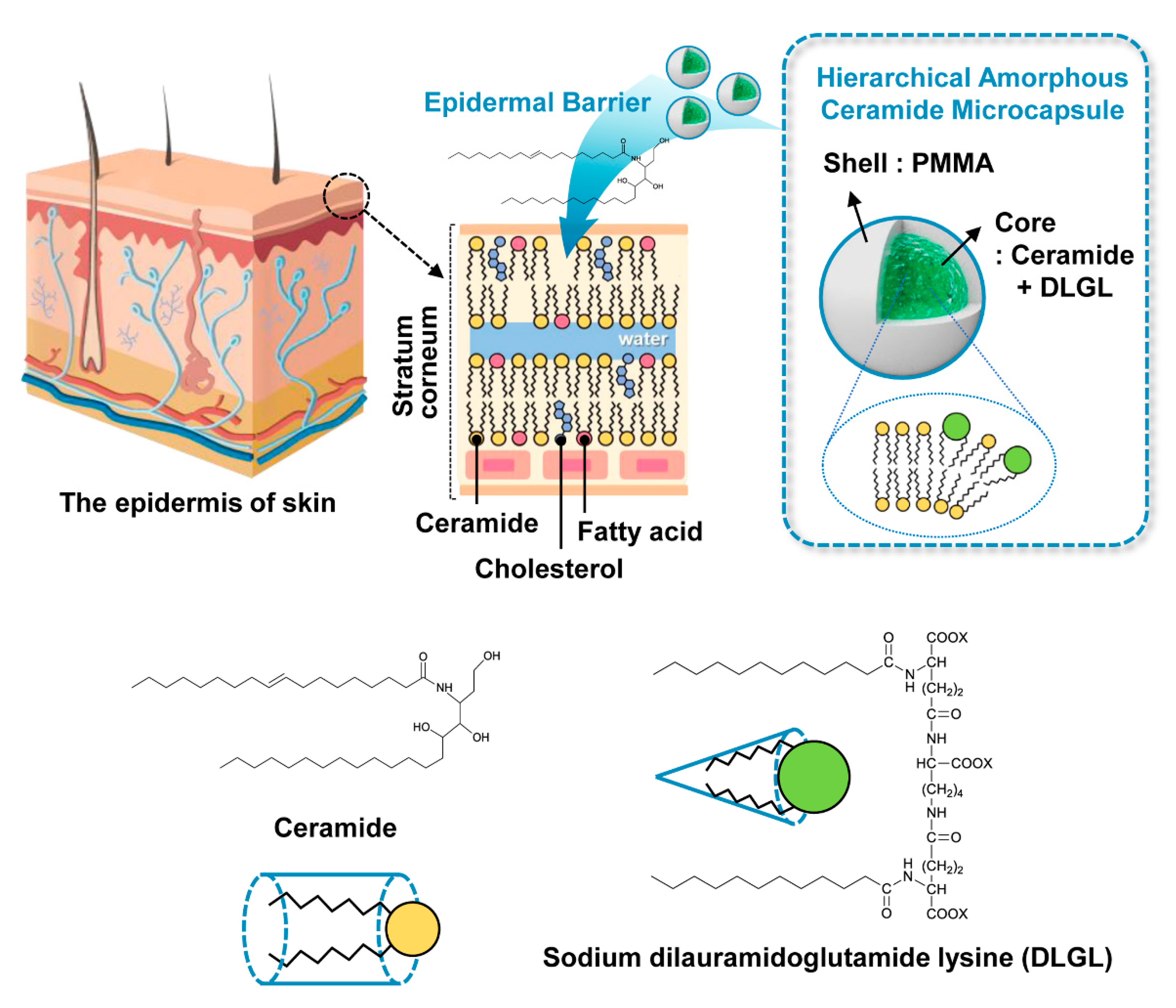 Polymers 12 02166 g001