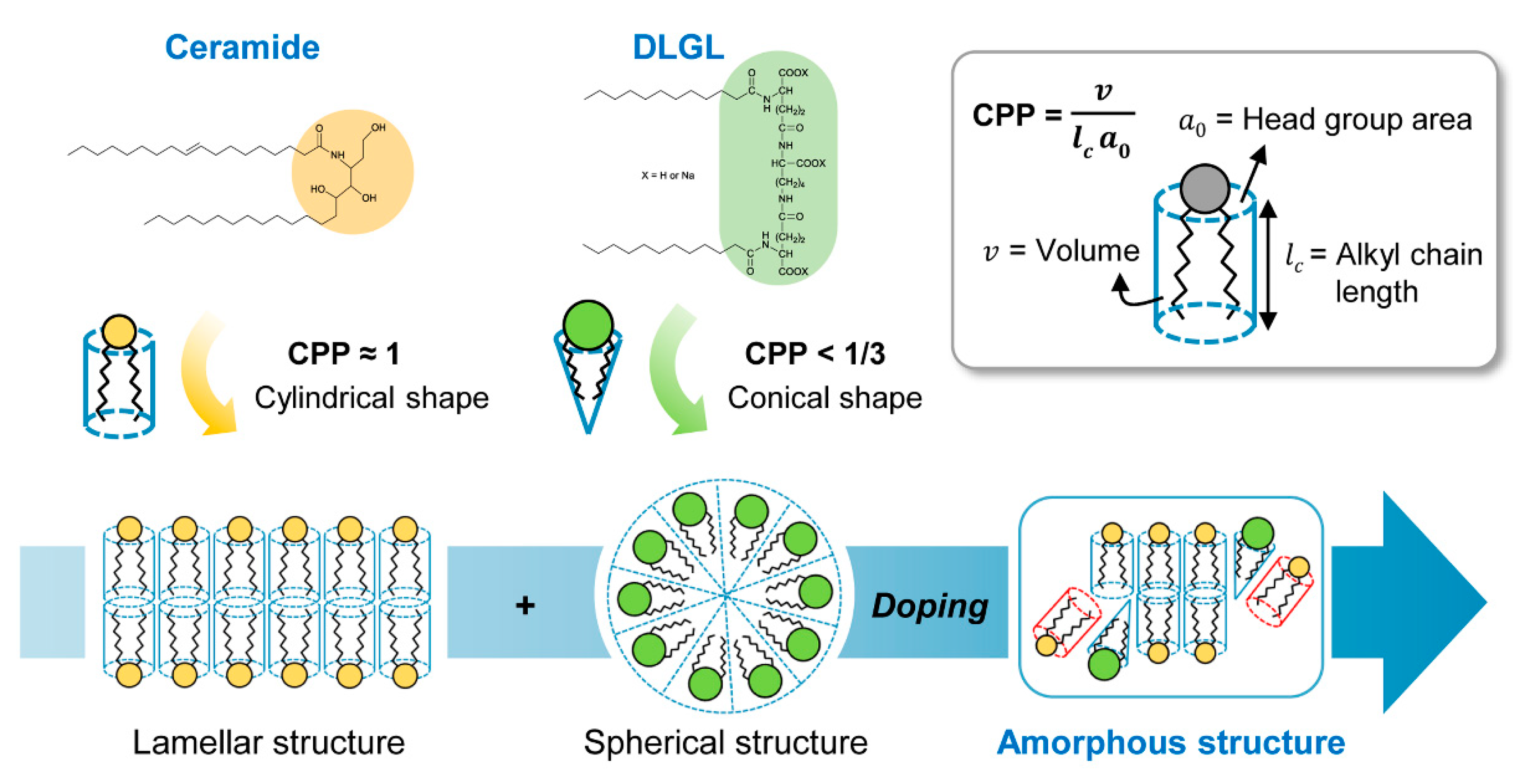 Polymers 12 02166 g002